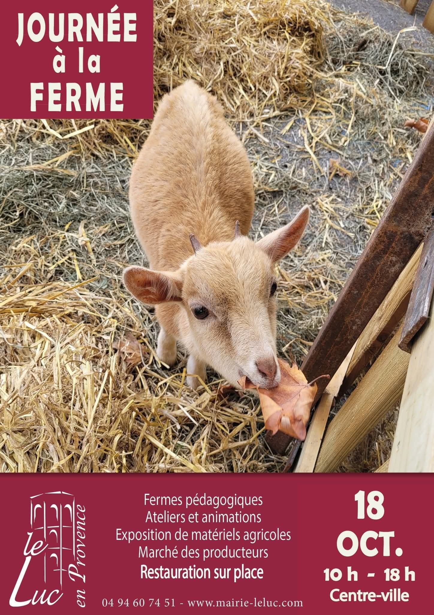 565727648_10236914675274229_6771670180679955464_n.jpg (698 KB)