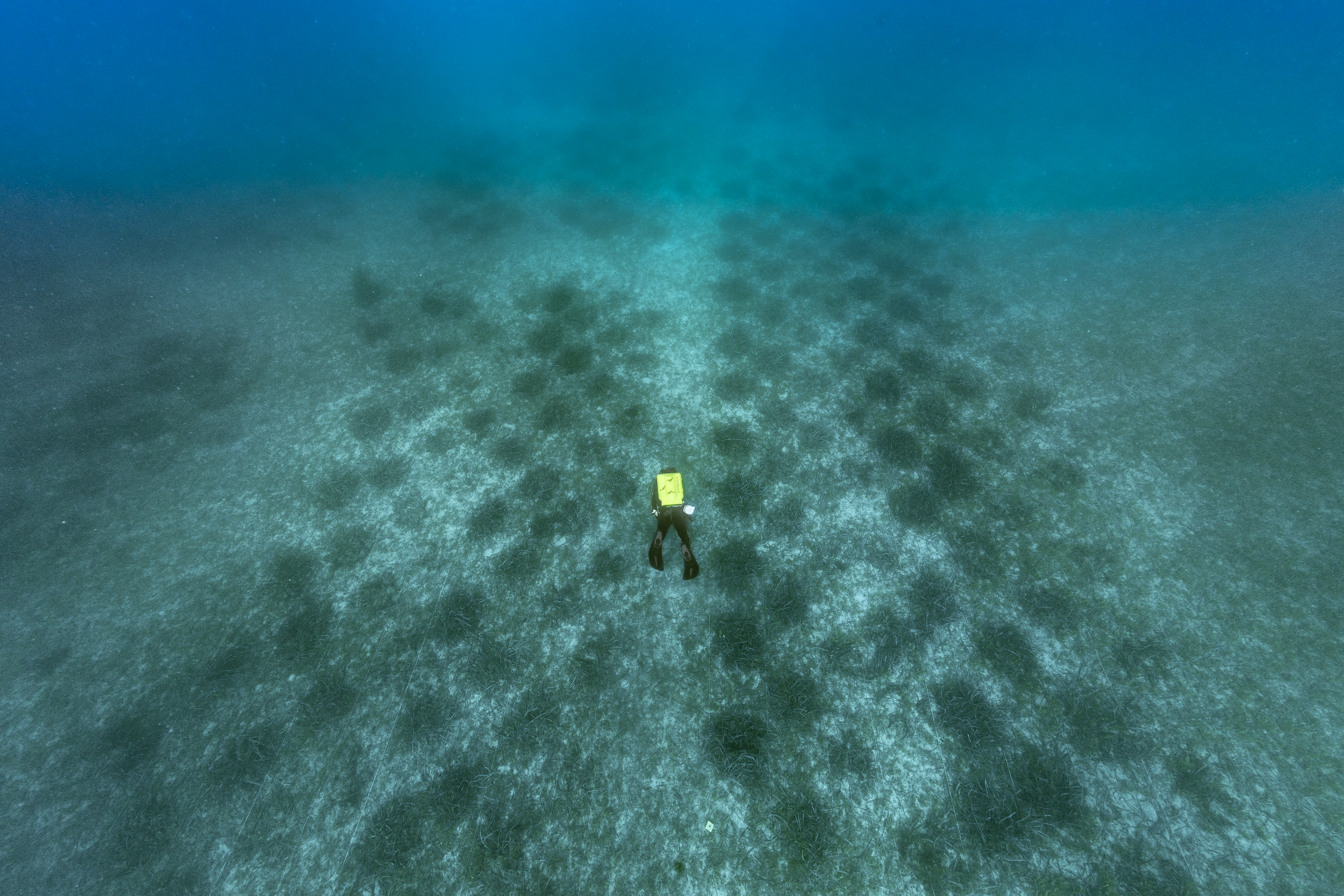 @Laurent Ballesta.jpg (17.17 MB)