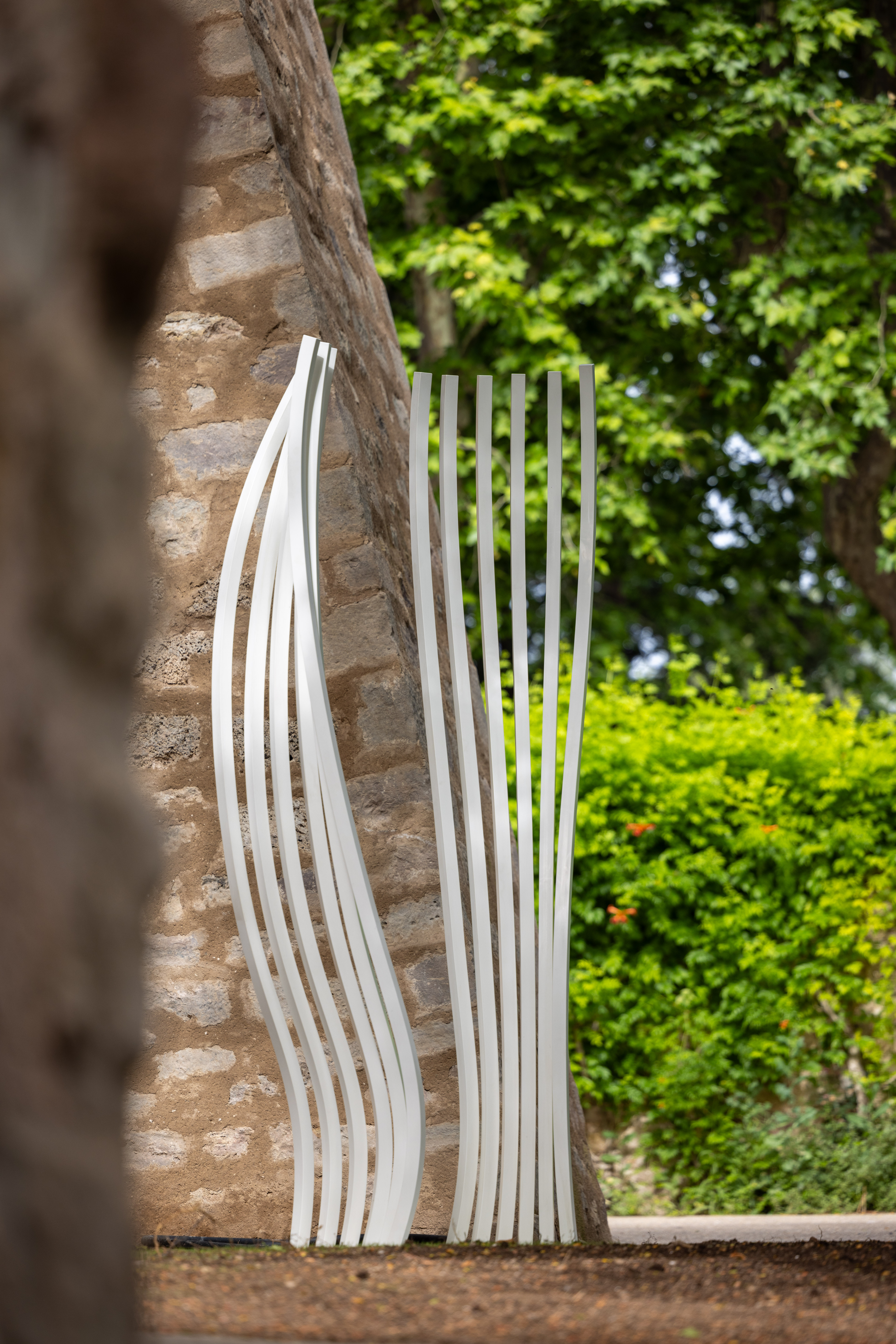 0D8A5601.jpg (5.57 MB)