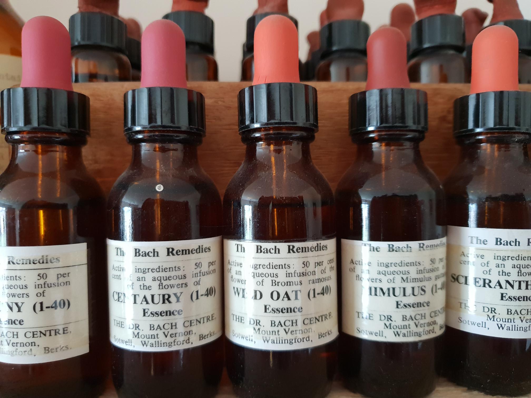 20180720_122912.jpg (278 KB)