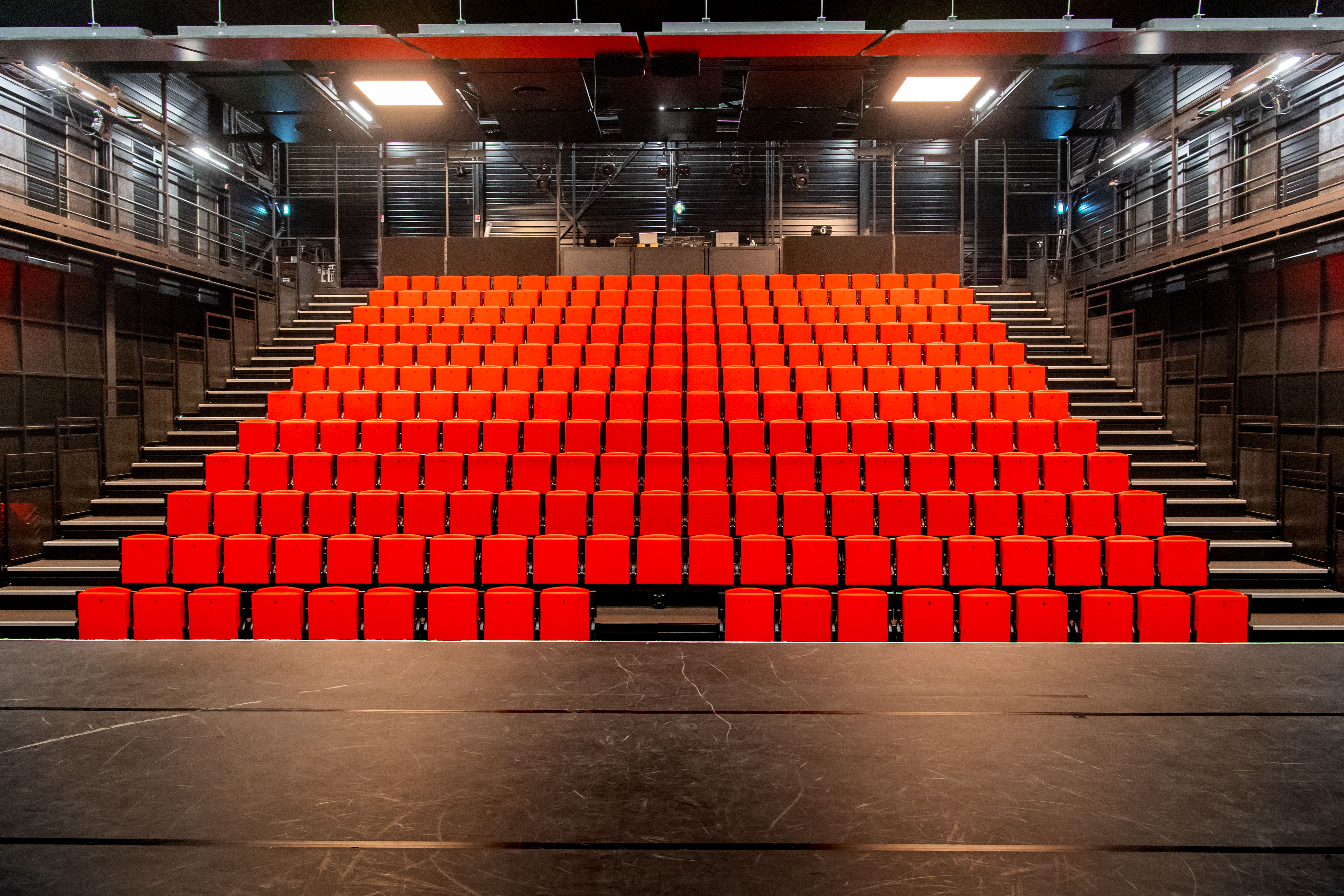 29112022-DSC_0204.jpg (4.77 MB)