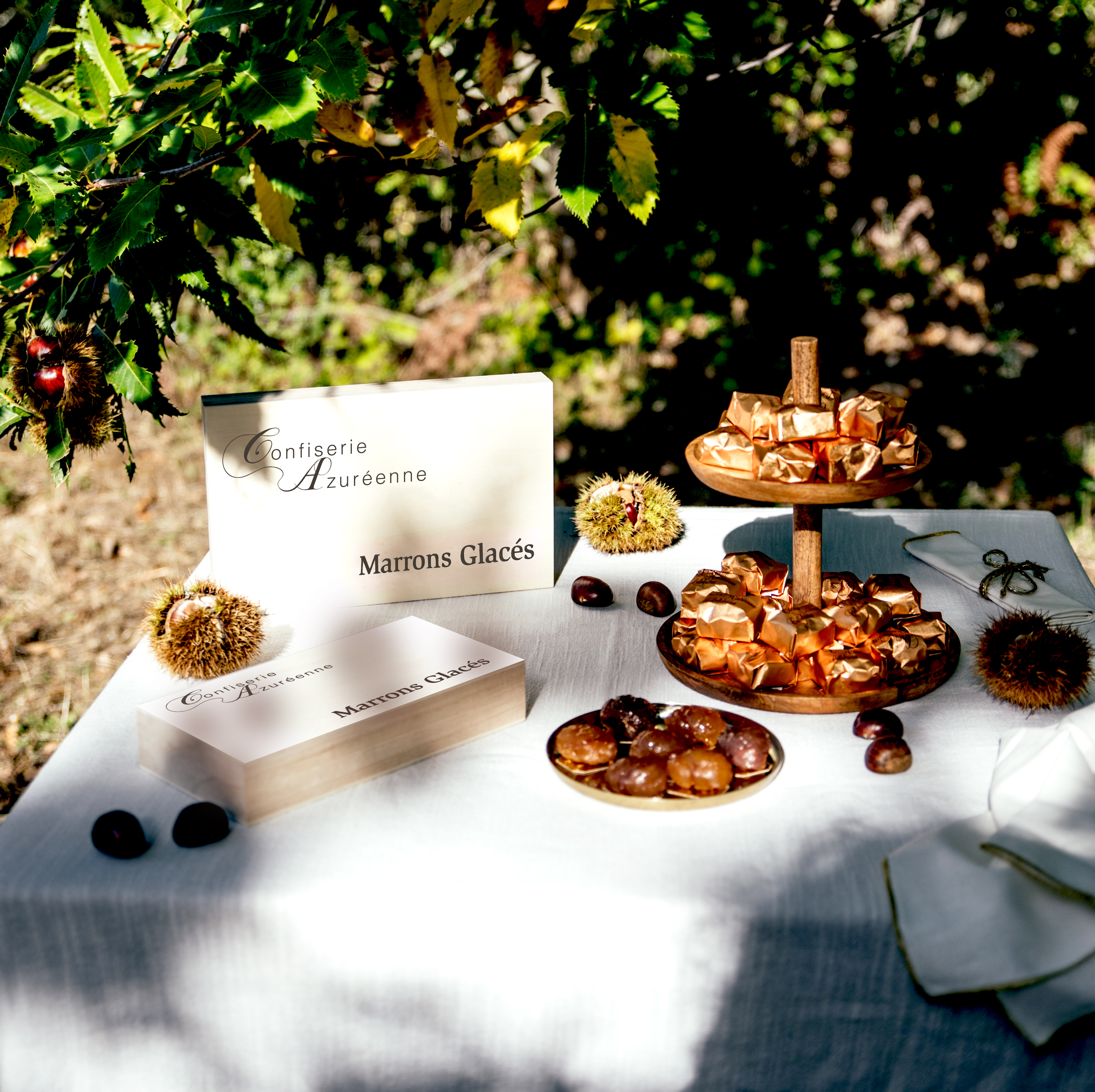 2D1A8059 copie.jpg (10.72 MB)