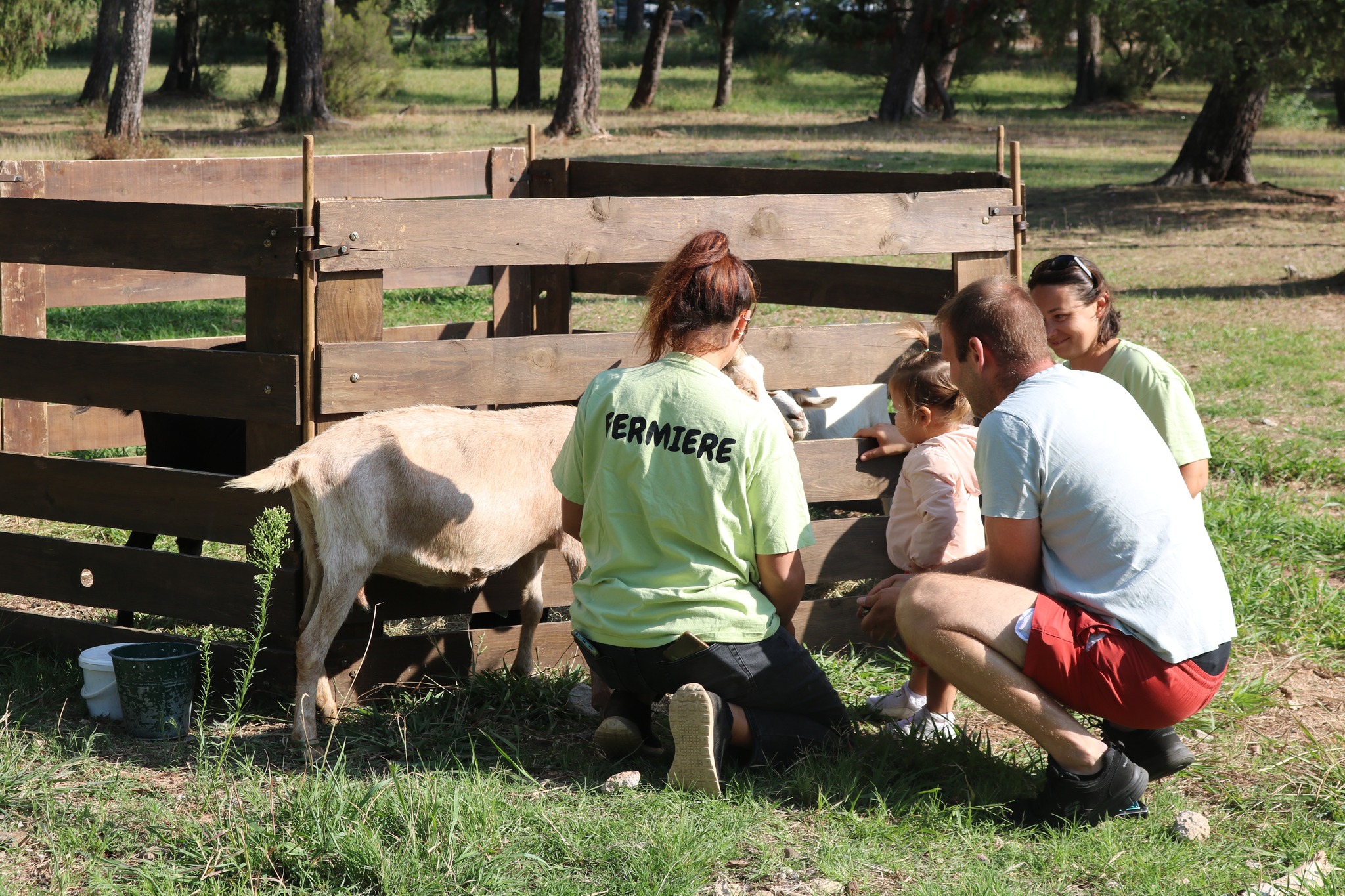 461088437_1014579450715451_2599200982983329955_n.jpg (911 KB)