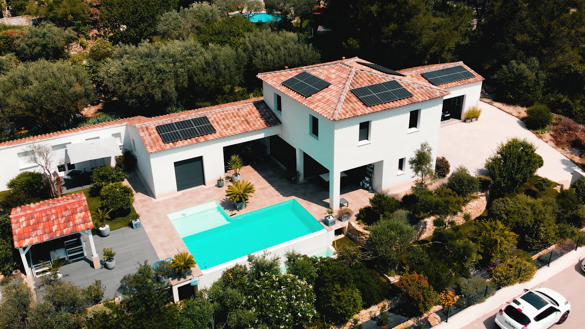 C3389.00_00_46_06.Still031.jpg (1.47 MB)