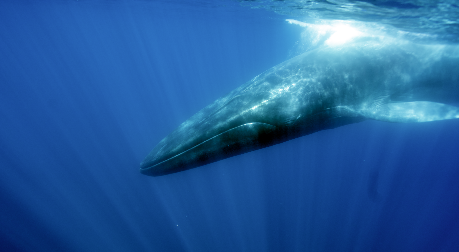 Capture d&rsquo;&eacute;cran (50).png (1.43 MB)