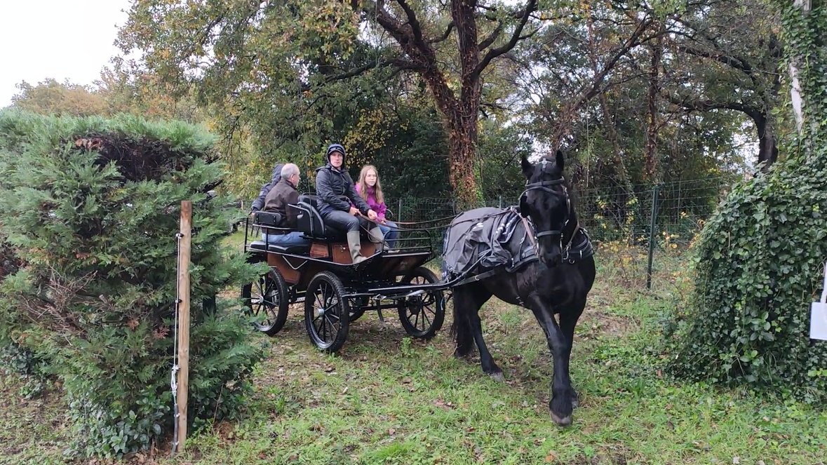 Capture.PNG (2.30 MB)