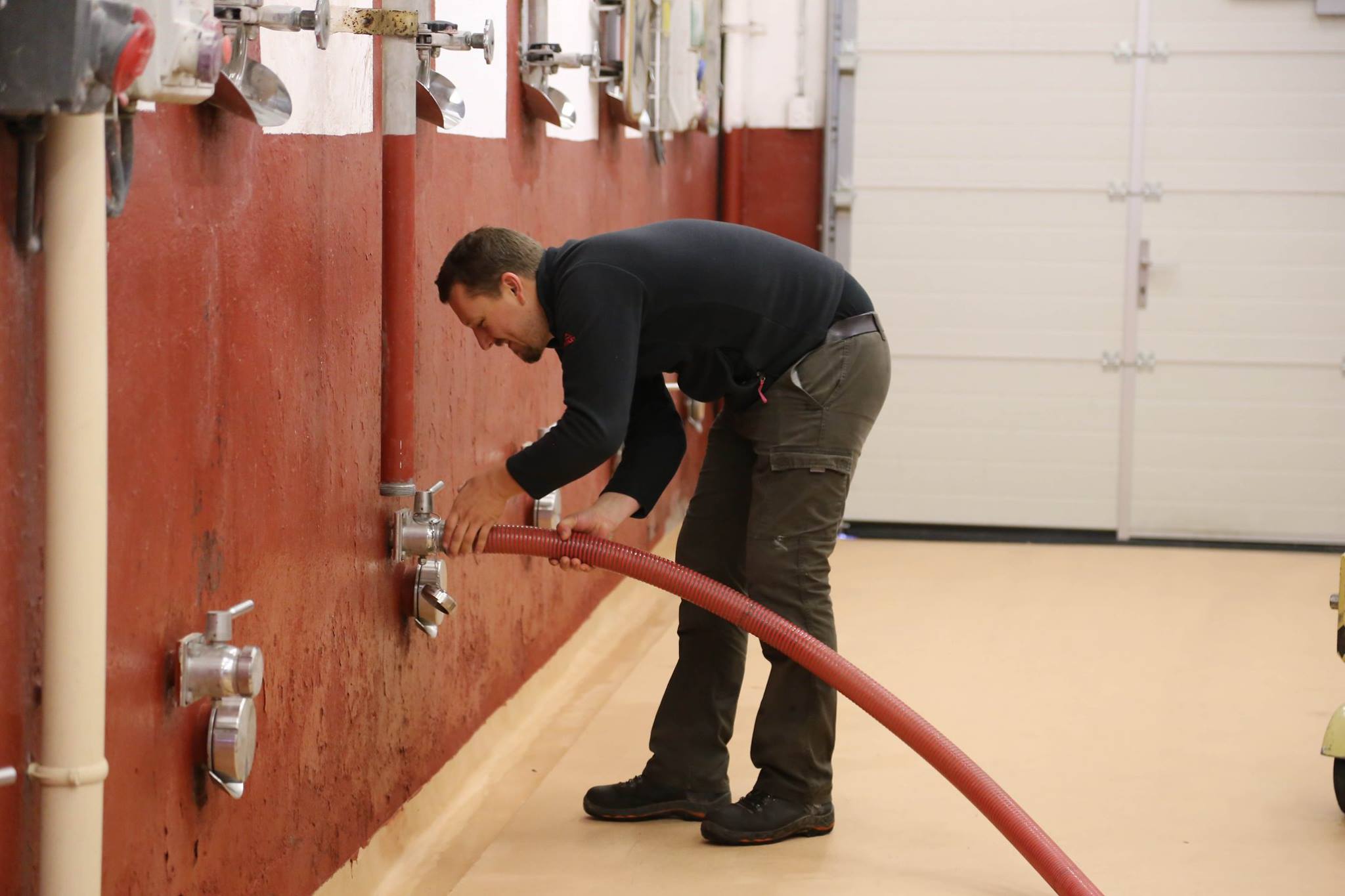 Cave 2016.jpg (165 KB)