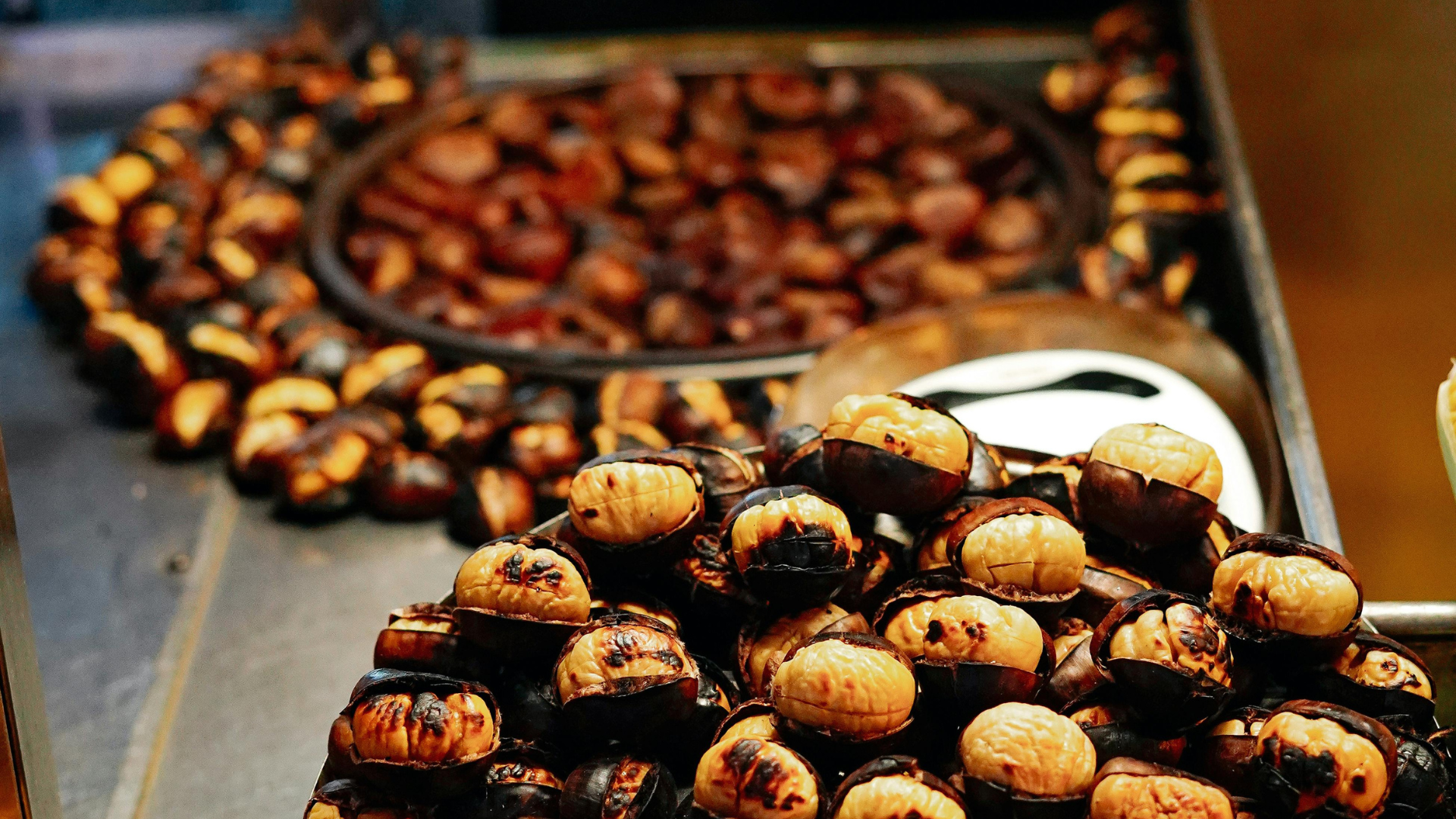 Design sans titre (55).png (3.15 MB)