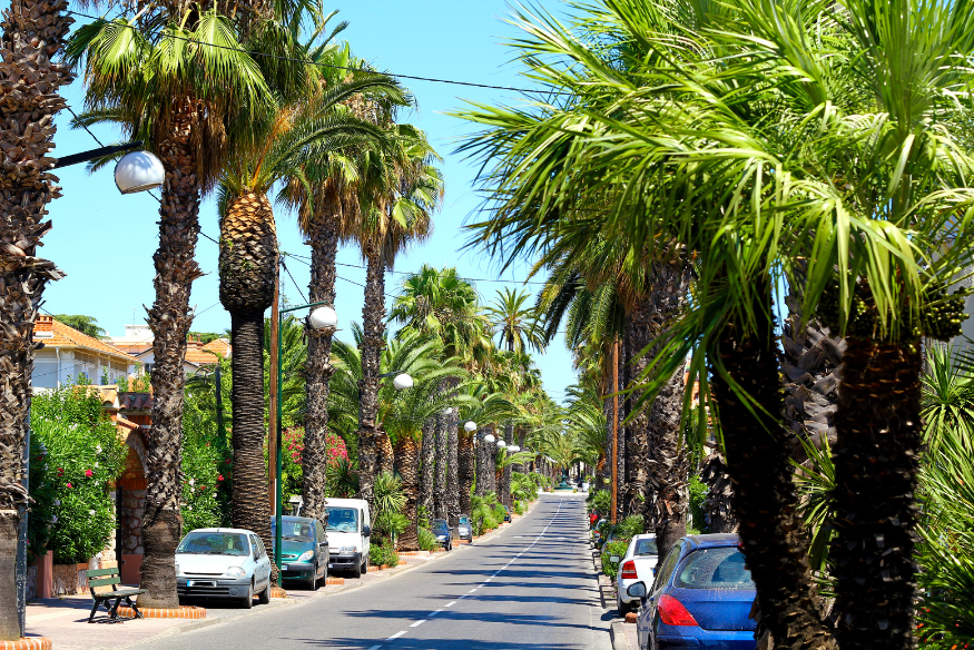 Encart Var Info.pdf (875&nbsp;&times;&nbsp;584&nbsp;px) (Publication Facebook (Paysage)) (875&nbsp;&times;&nbsp;584&nbsp;px) (6).png (1.32 MB)