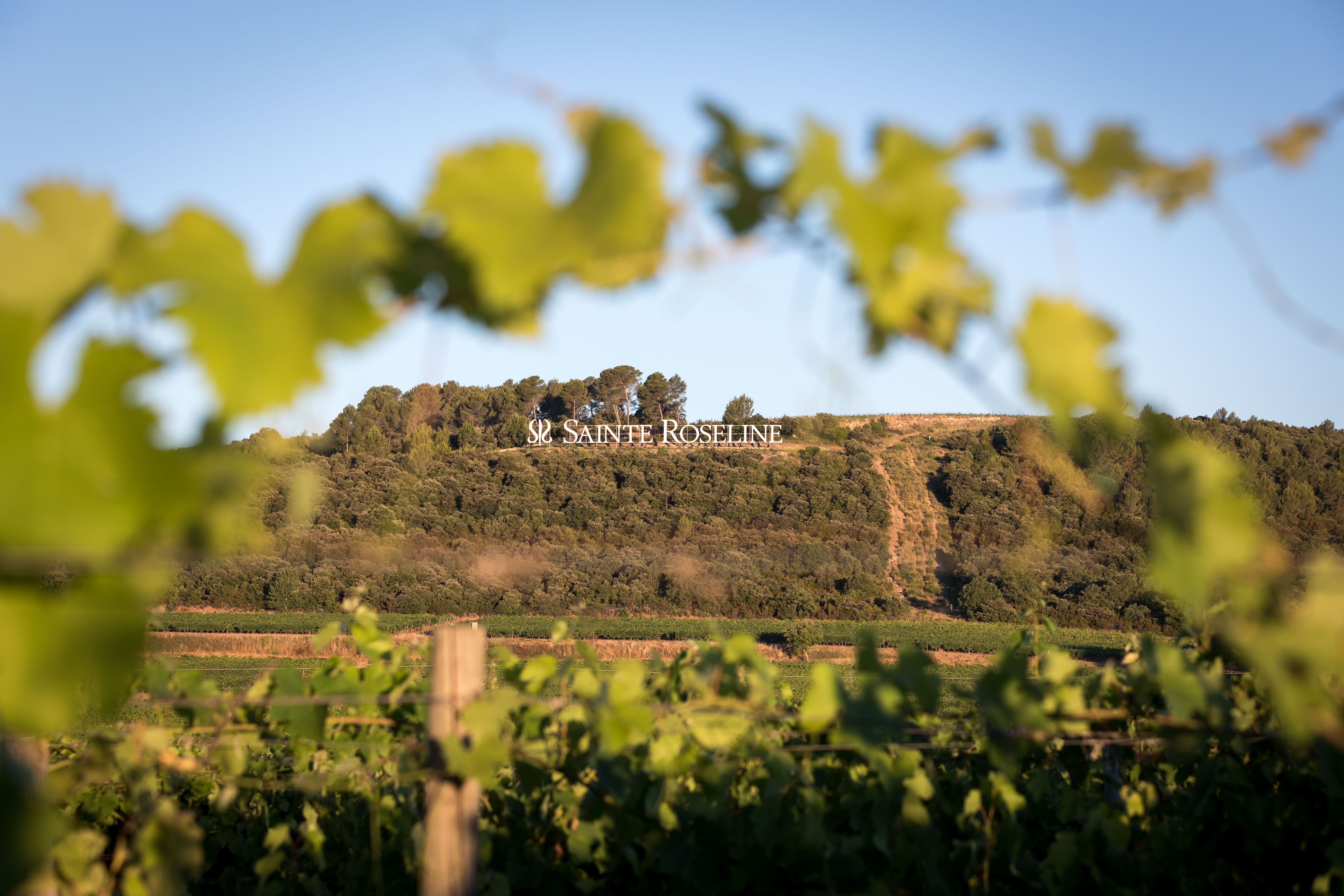 Exterieur Roseline 07-2017 HD-001.jpg (2.79 MB)