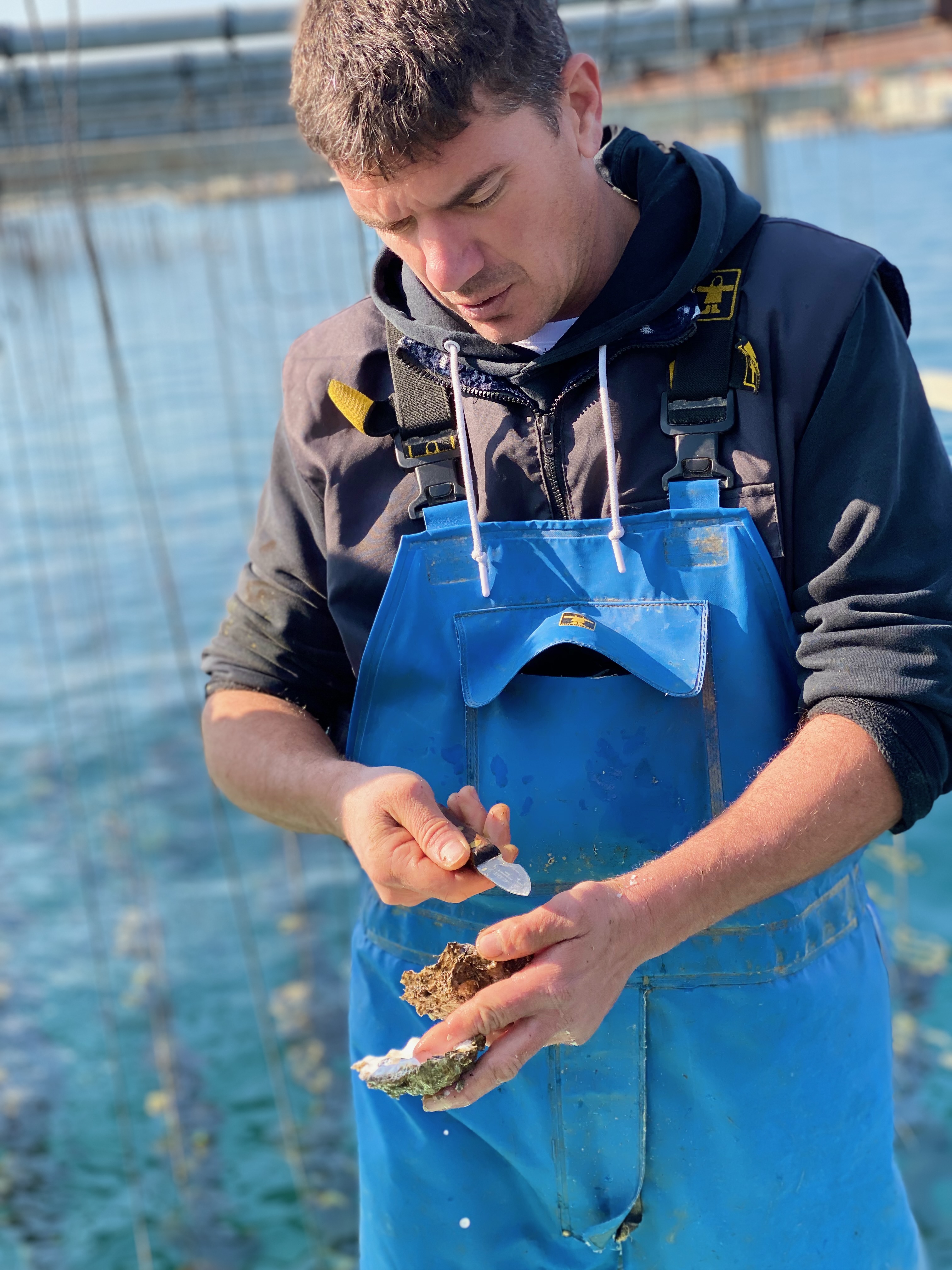 Giol-@MarieTabacchi30.jpeg (1.79 MB)