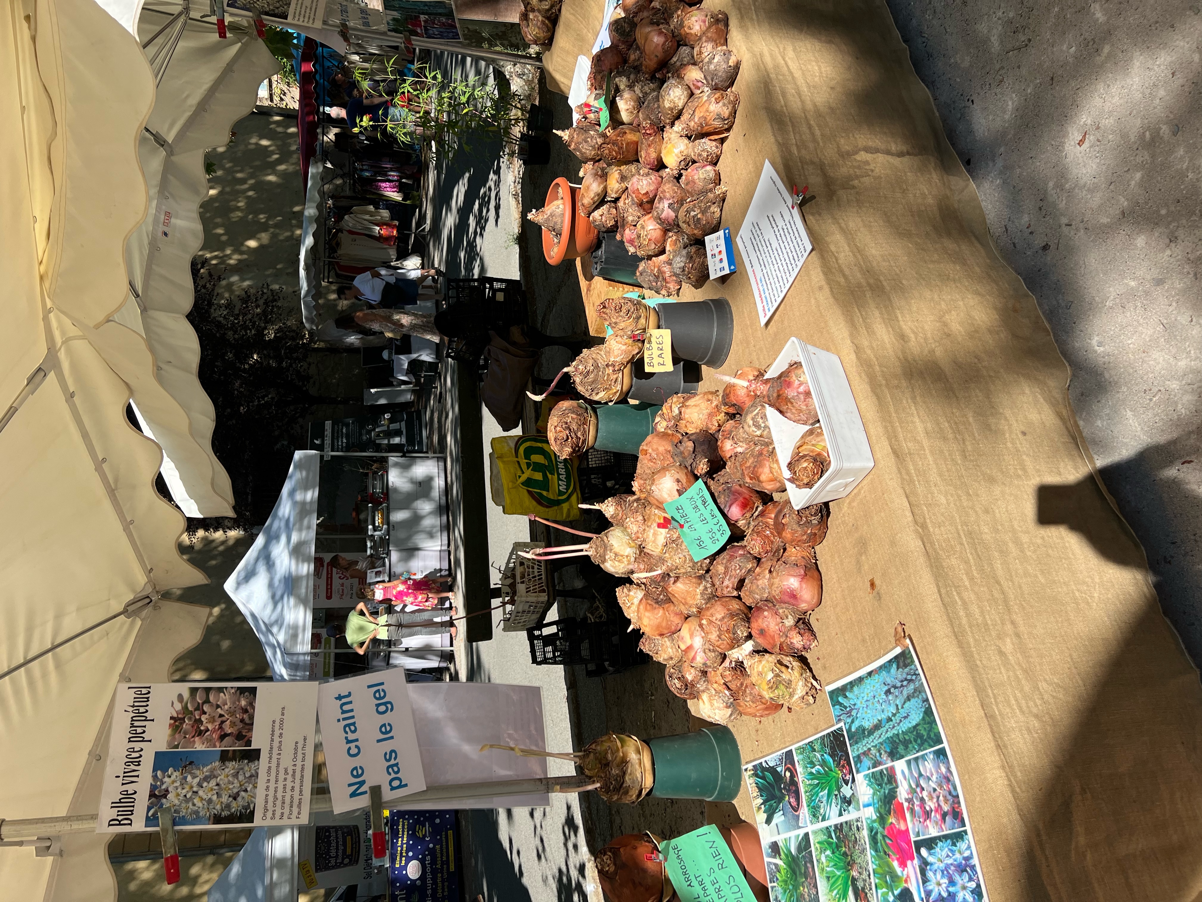 IMG_3344.jpeg (4.93 MB)