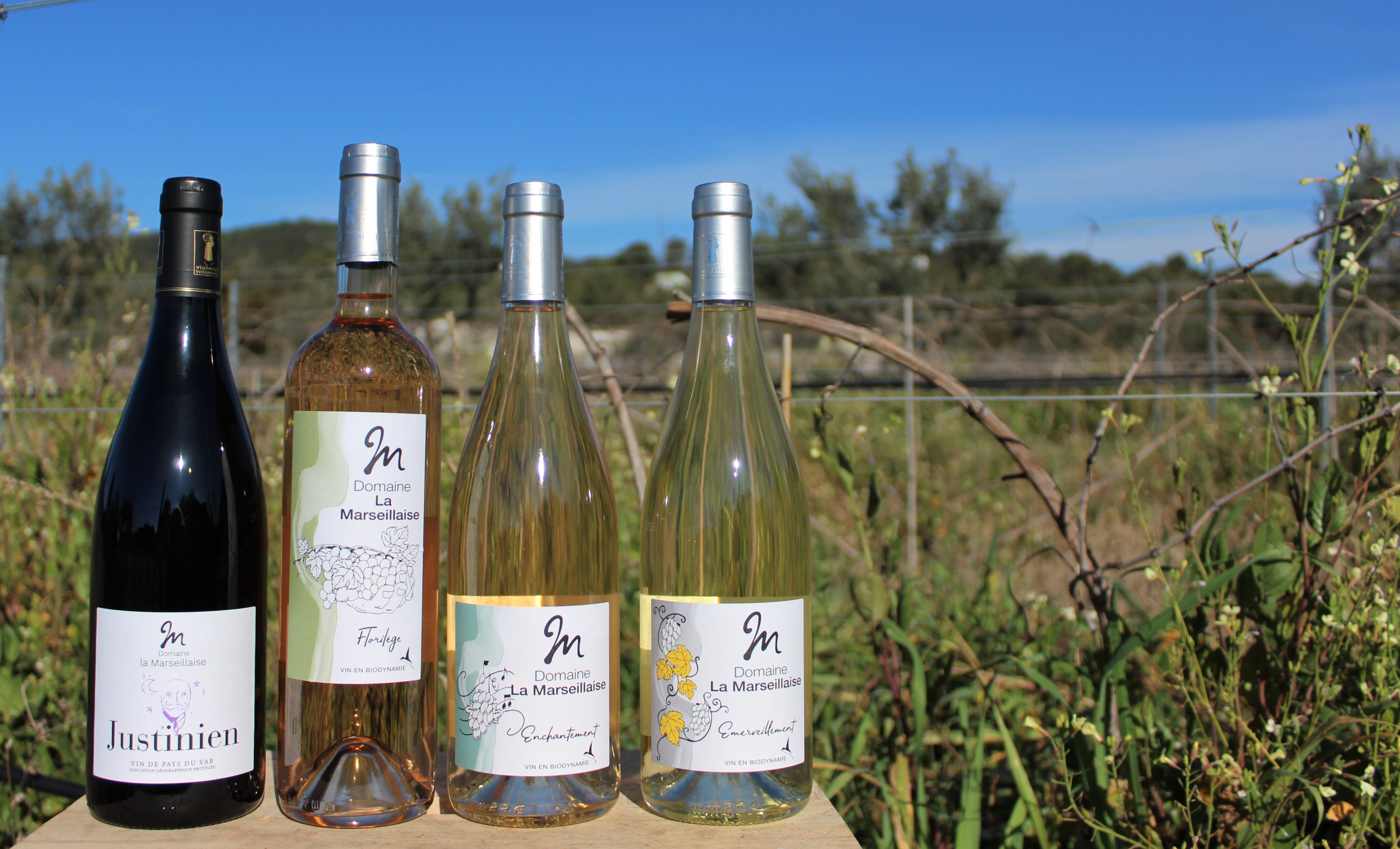 IMG_6032 (2).JPG (1.72 MB)