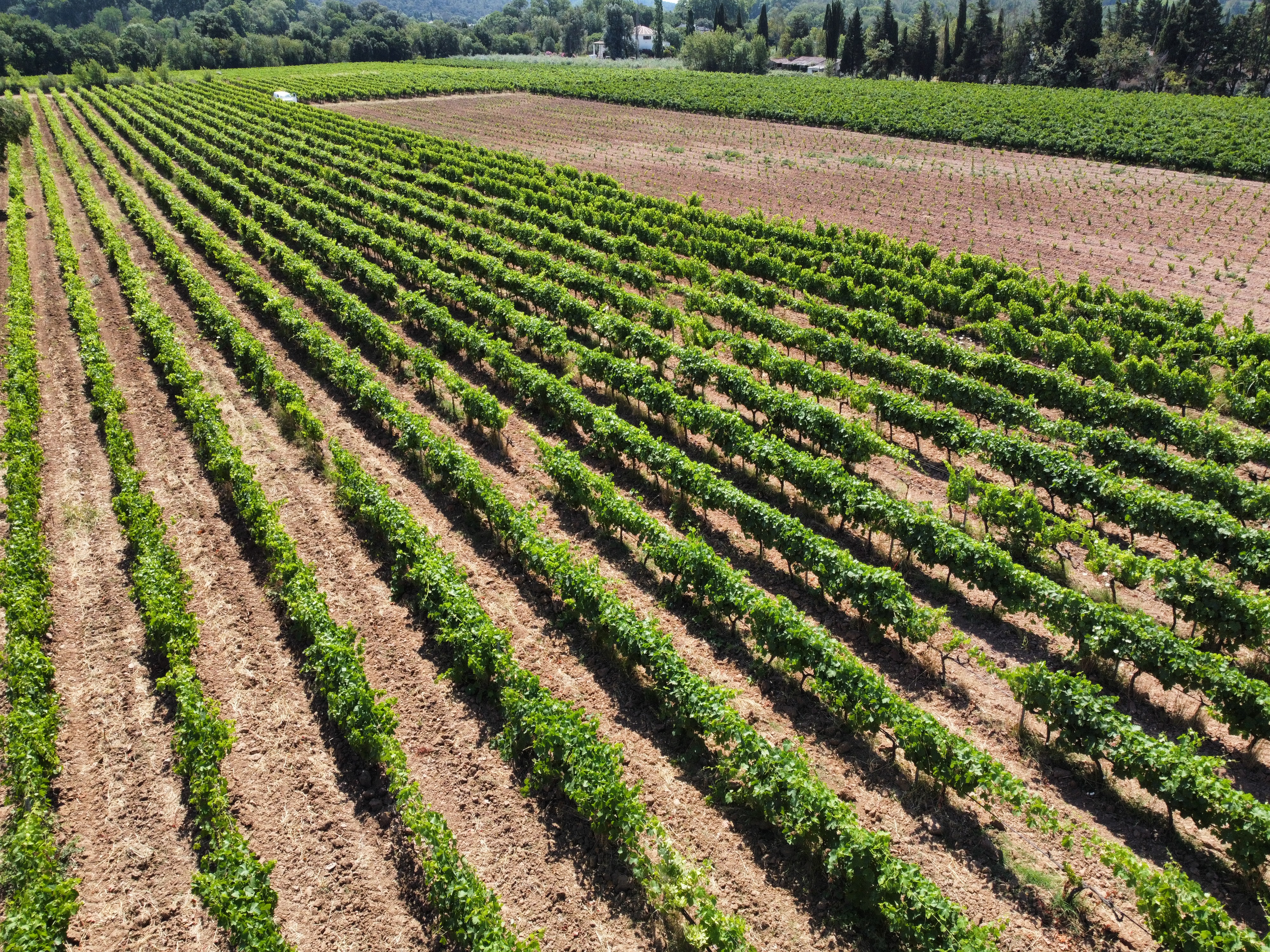 IMG_6241.JPG (6.02 MB)