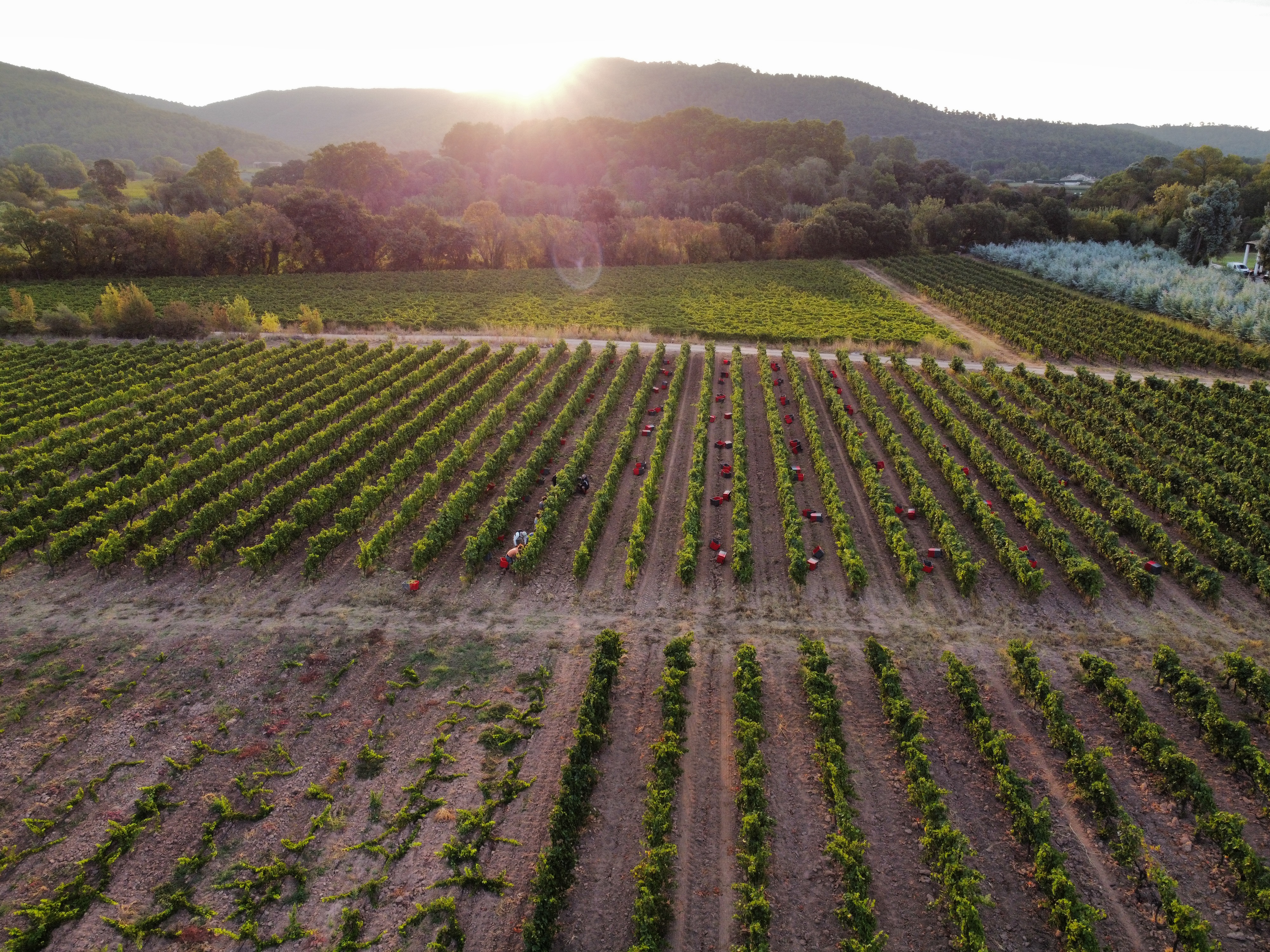 IMG_6430.JPG (4.46 MB)