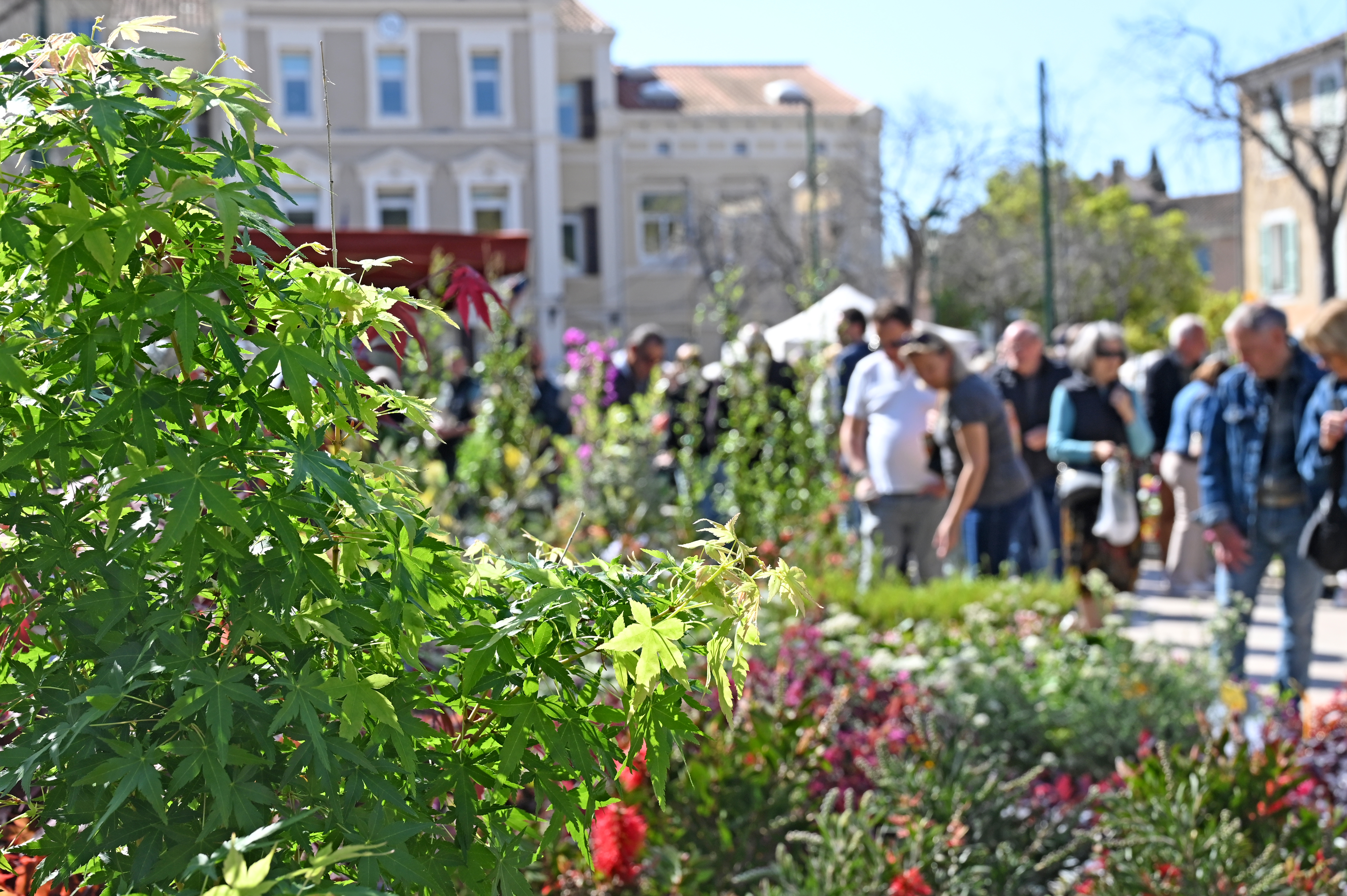 JUI_1487.JPG (9.77 MB)