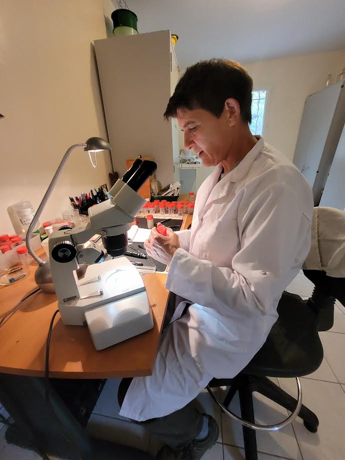 Karine Panchaud dans son laboratoire.jpg (56 KB)