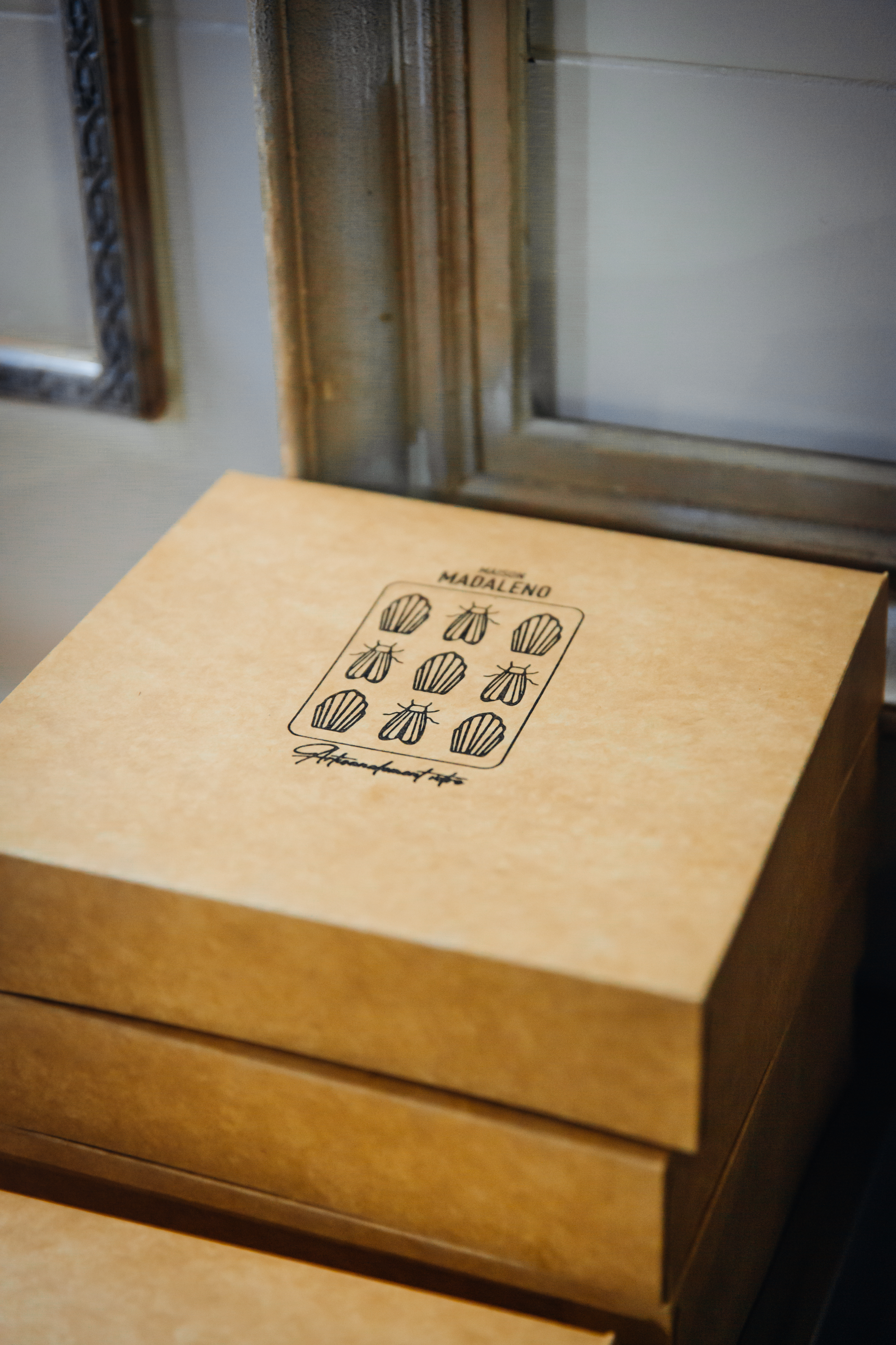 MAISON_MADALENO_DESSOURCES_11_2022-11.jpg (13.38 MB)