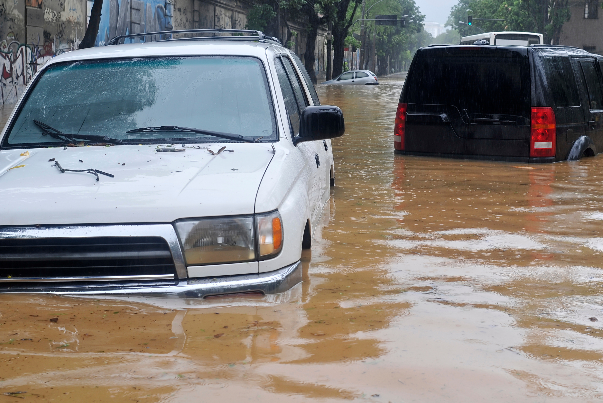 Site (875x584px) (3) (1).png (5.34 MB)