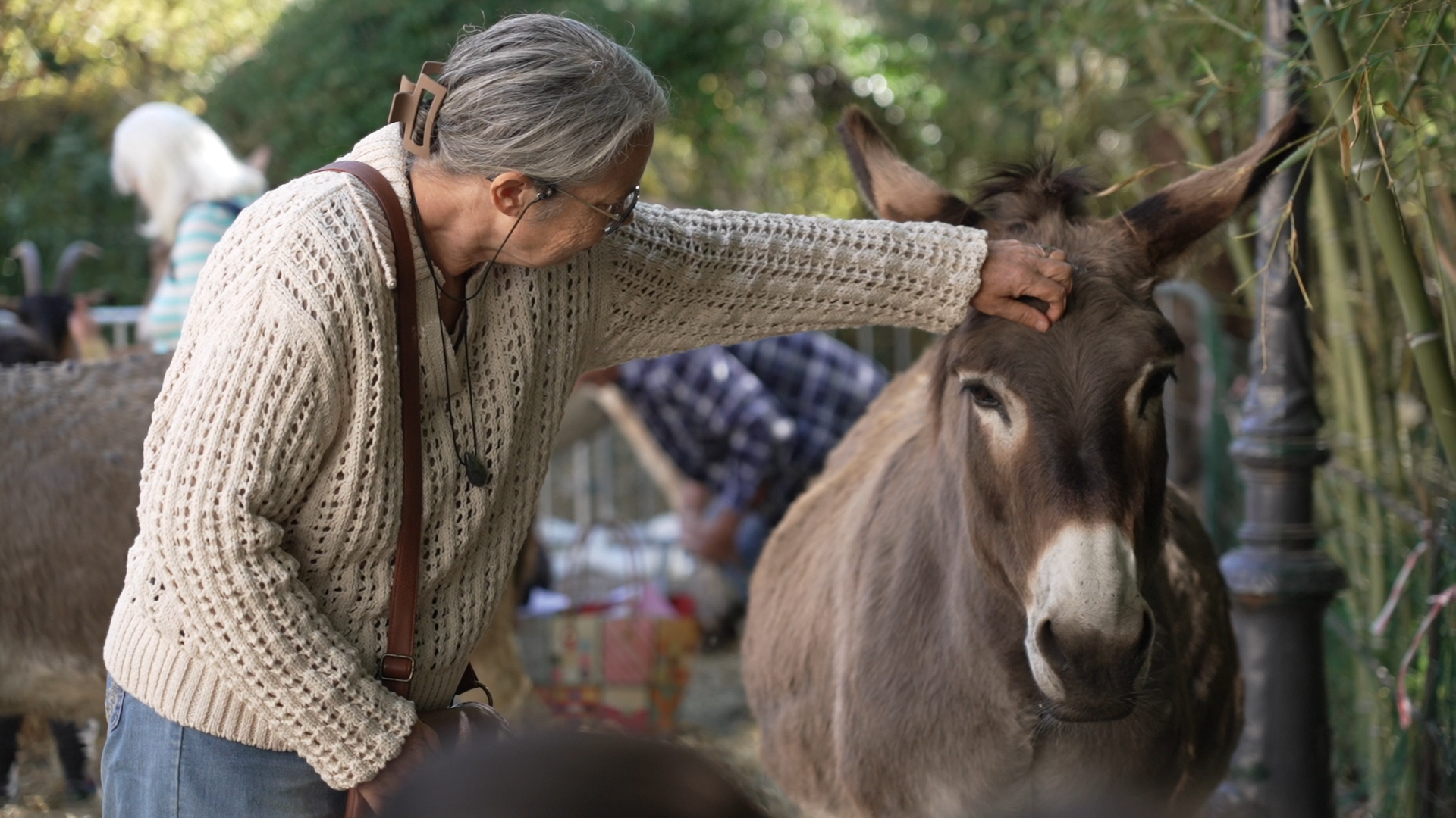 Snapshot_155.PNG (2.81 MB)