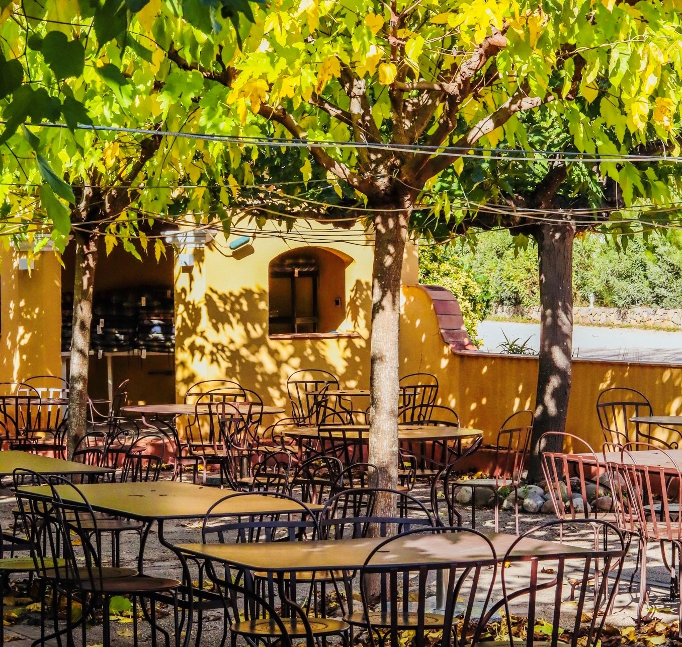 Terrassehaut1 (2).jpg (765 KB)