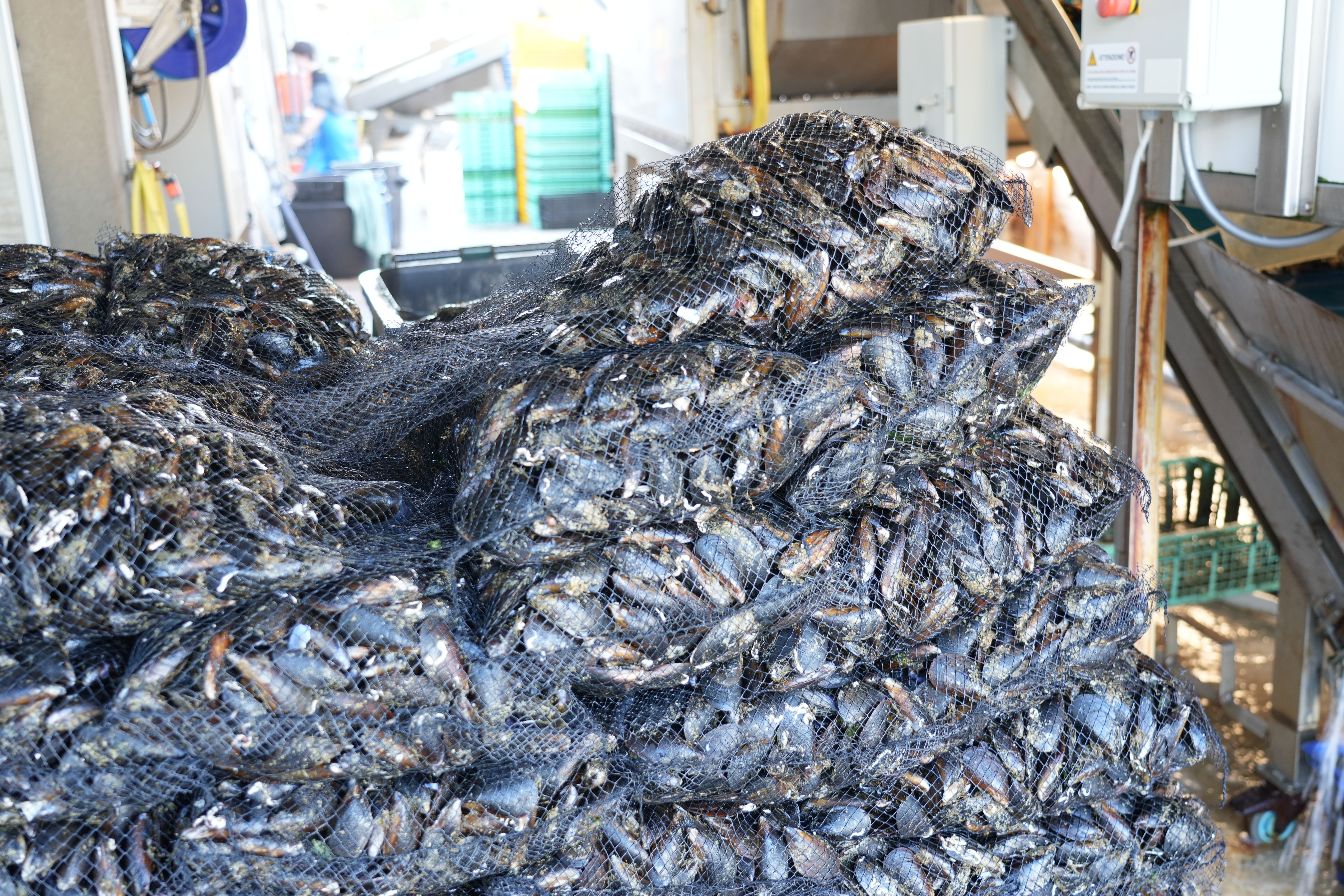 VIP02283.JPG (13.30 MB)