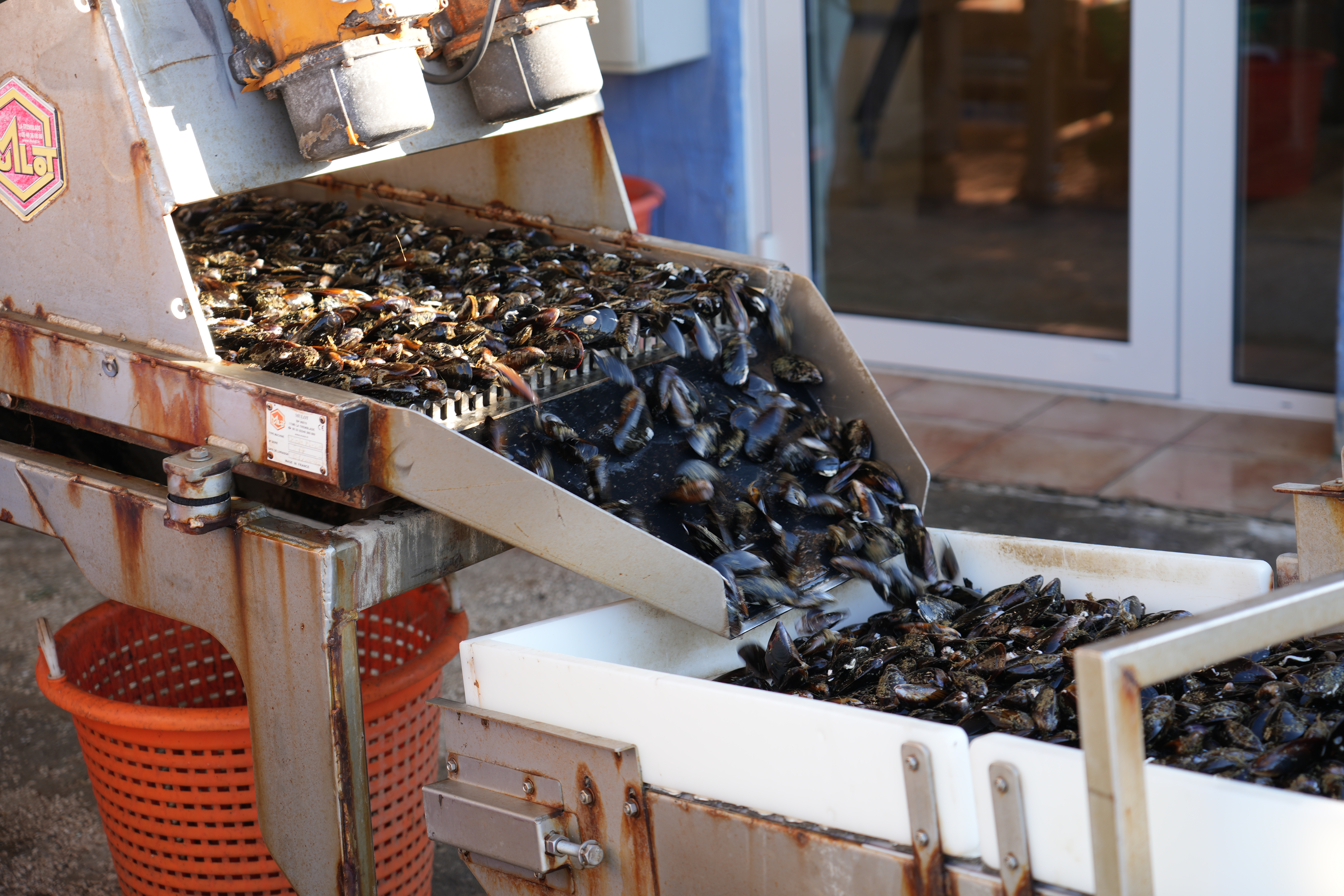 VIP02287.JPG (8.00 MB)