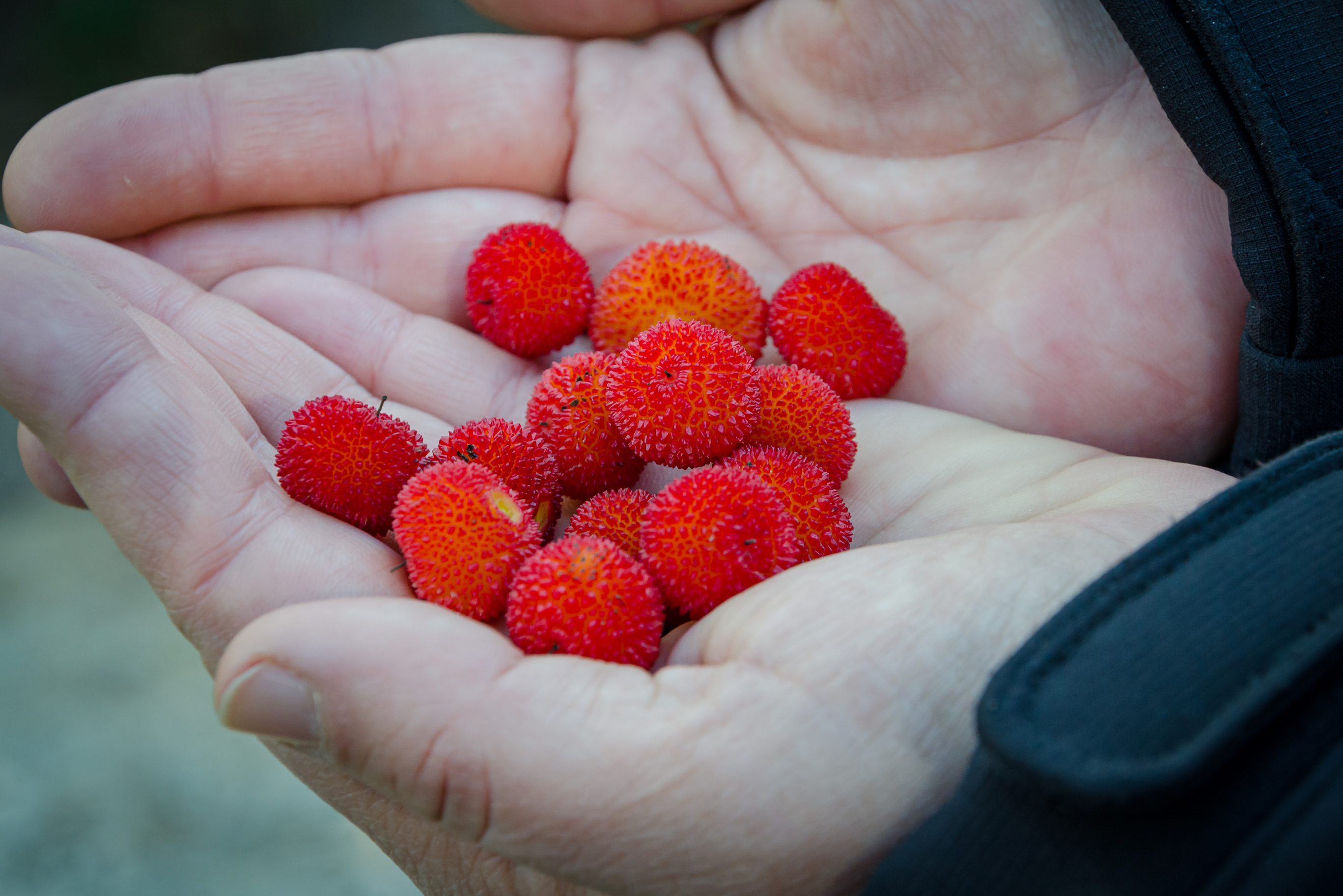 Var Infos publication site cin&eacute;ma  (42).png (5.90 MB)