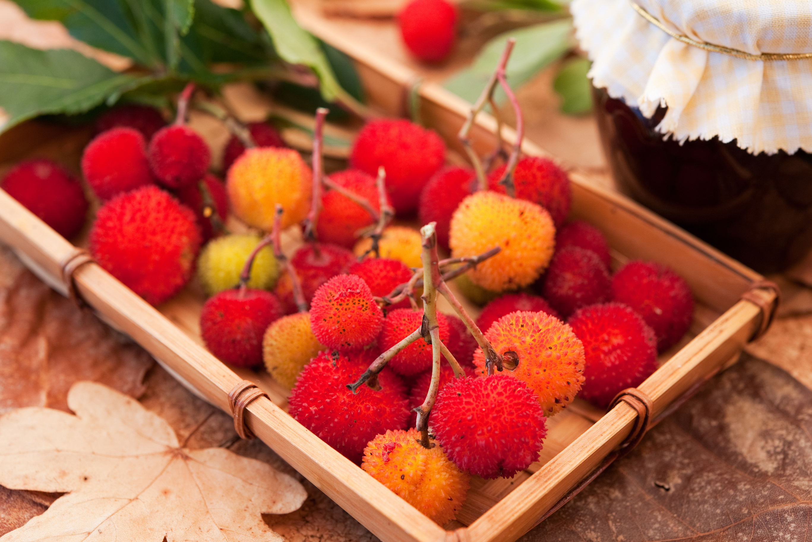 Var Infos publication site cin&eacute;ma  (43).png (7.35 MB)