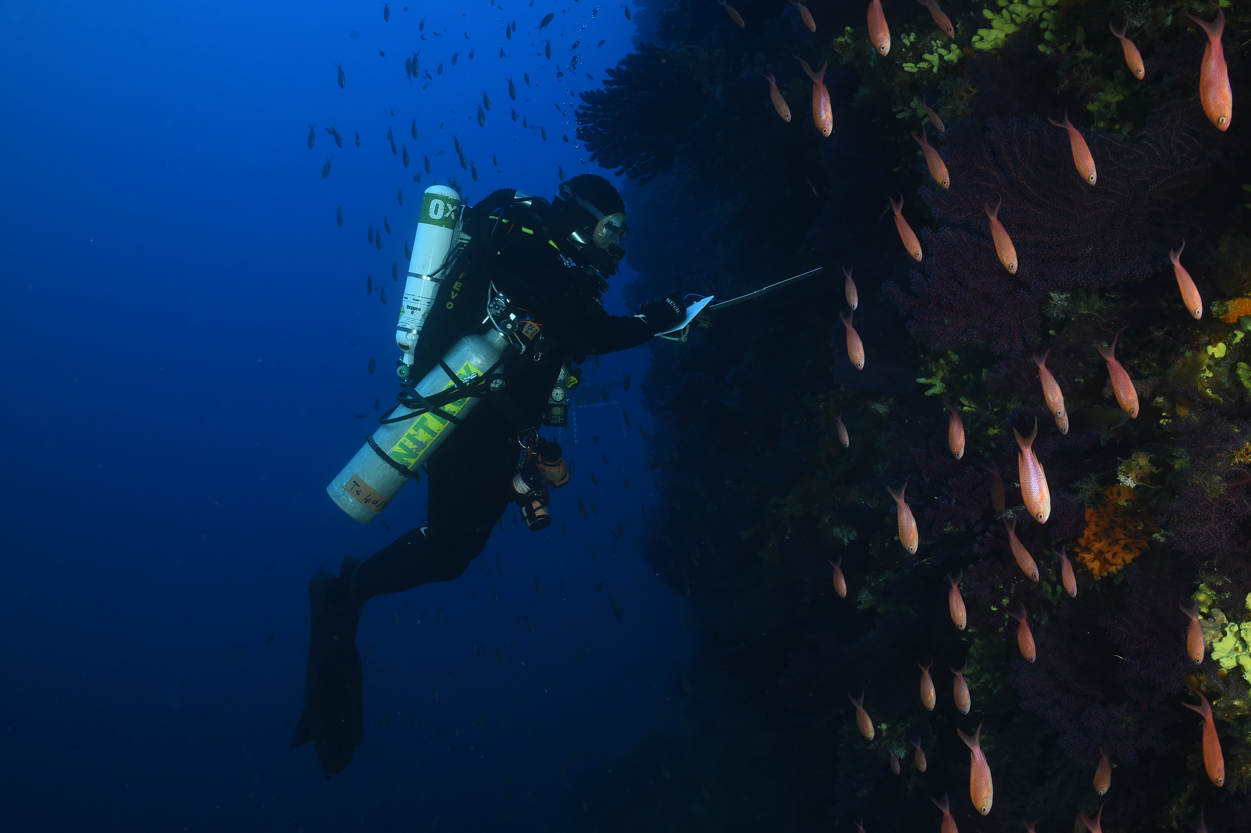 _REC0316.JPG (9.89 MB)