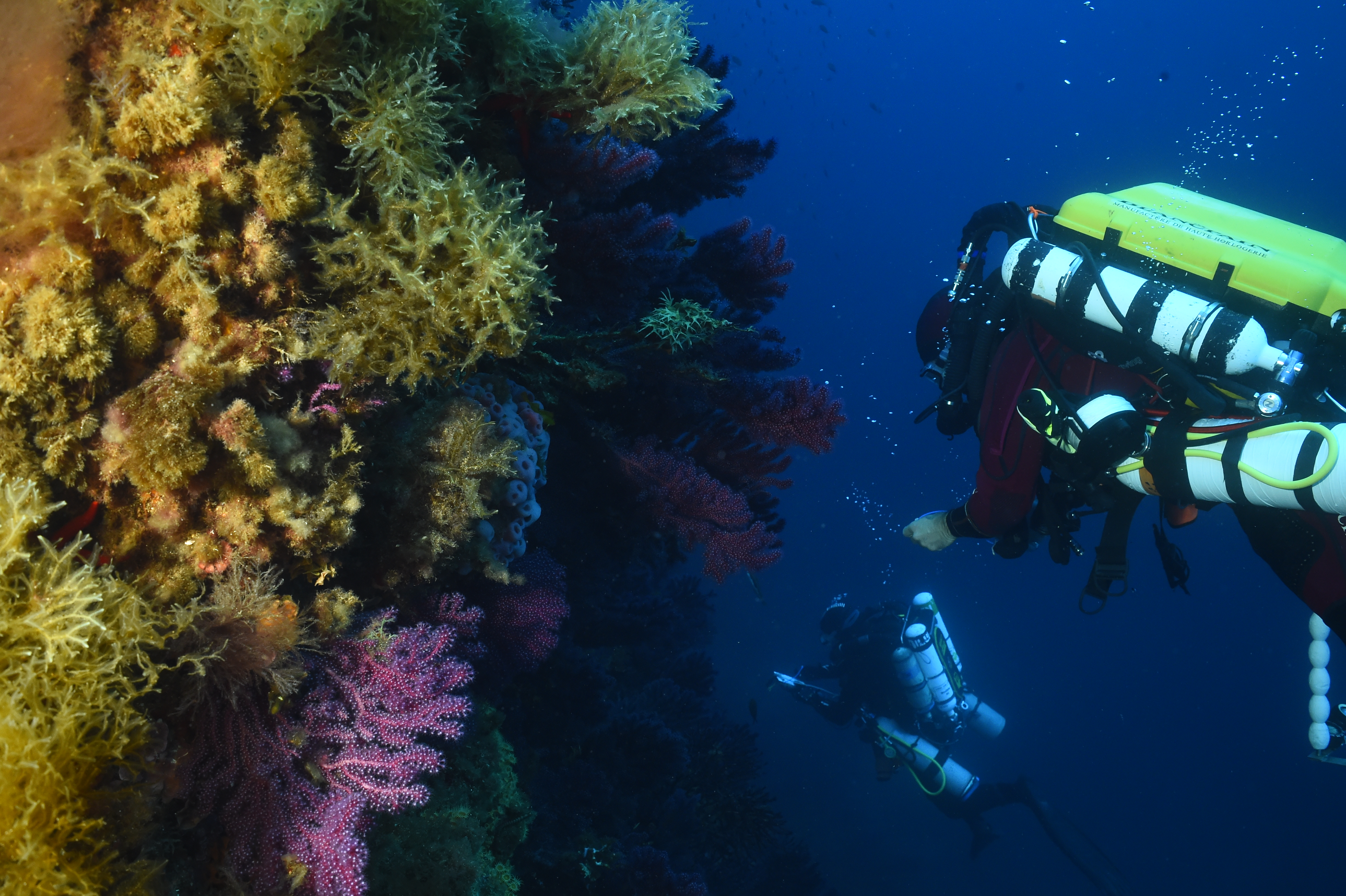 _REC0337.JPG (11.45 MB)