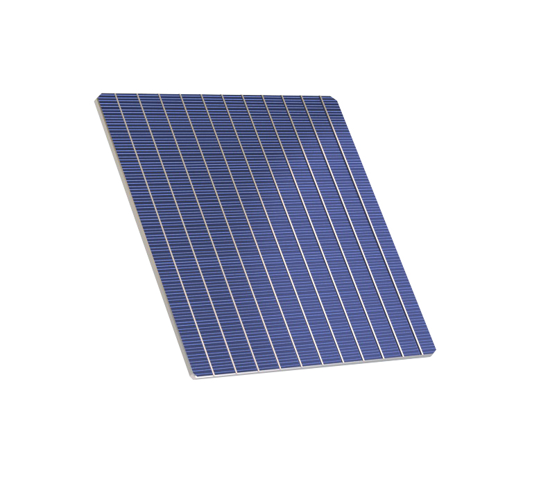 Cellule - © CARBON.jpg (180 KB)