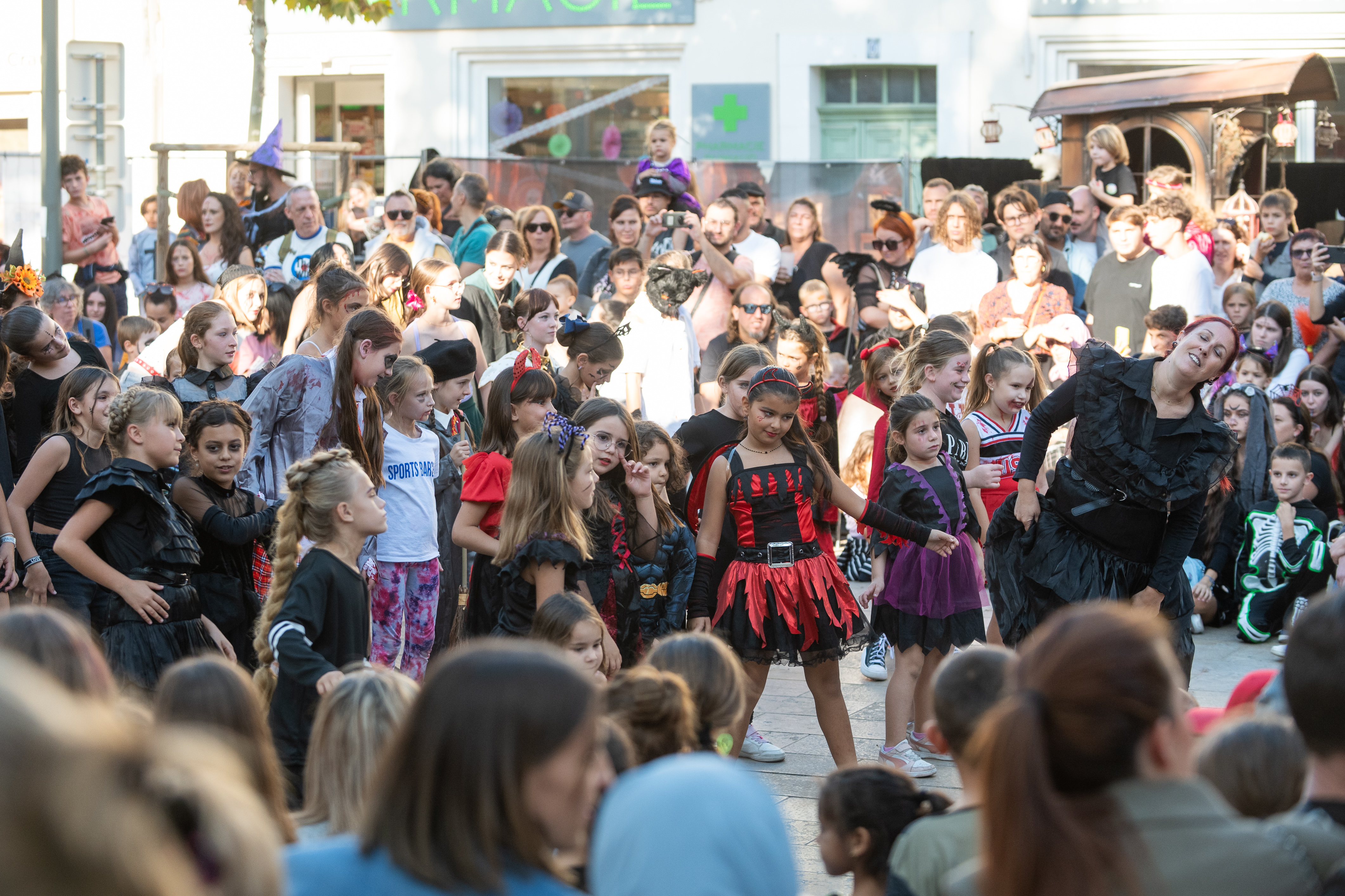 f&ecirc;te de la sorci&egrave;re 2025 (196).jpg (4.61 MB)