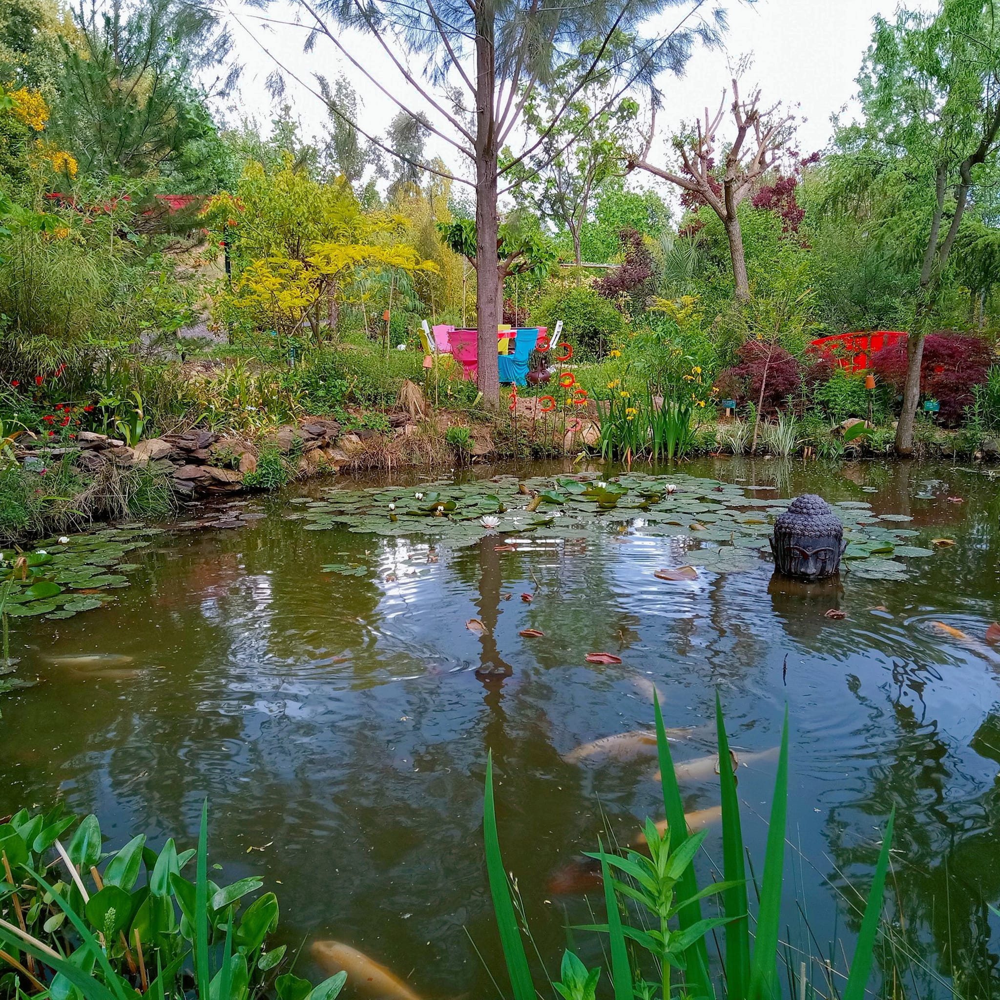 jardin 11.jpg (1016 KB)