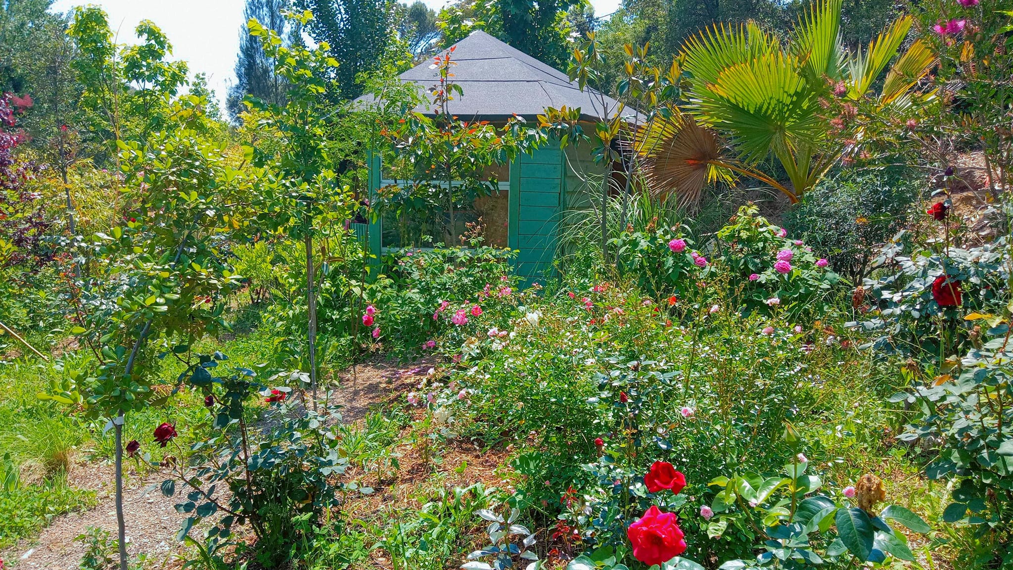 jardin 2.jpg (868 KB)