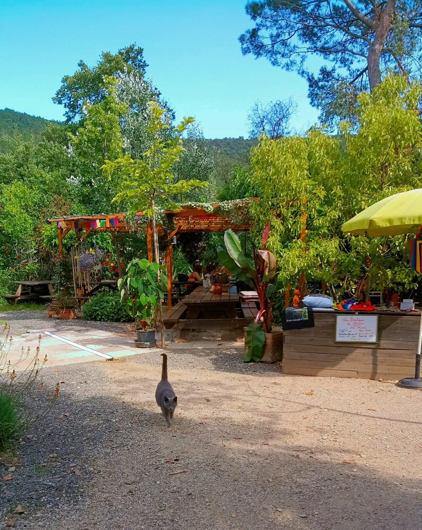 jardin 5.jpg (624 KB)