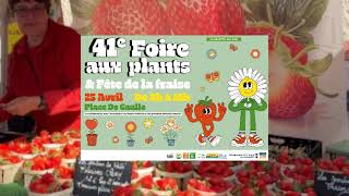 mqdefault.jpg (12 KB)