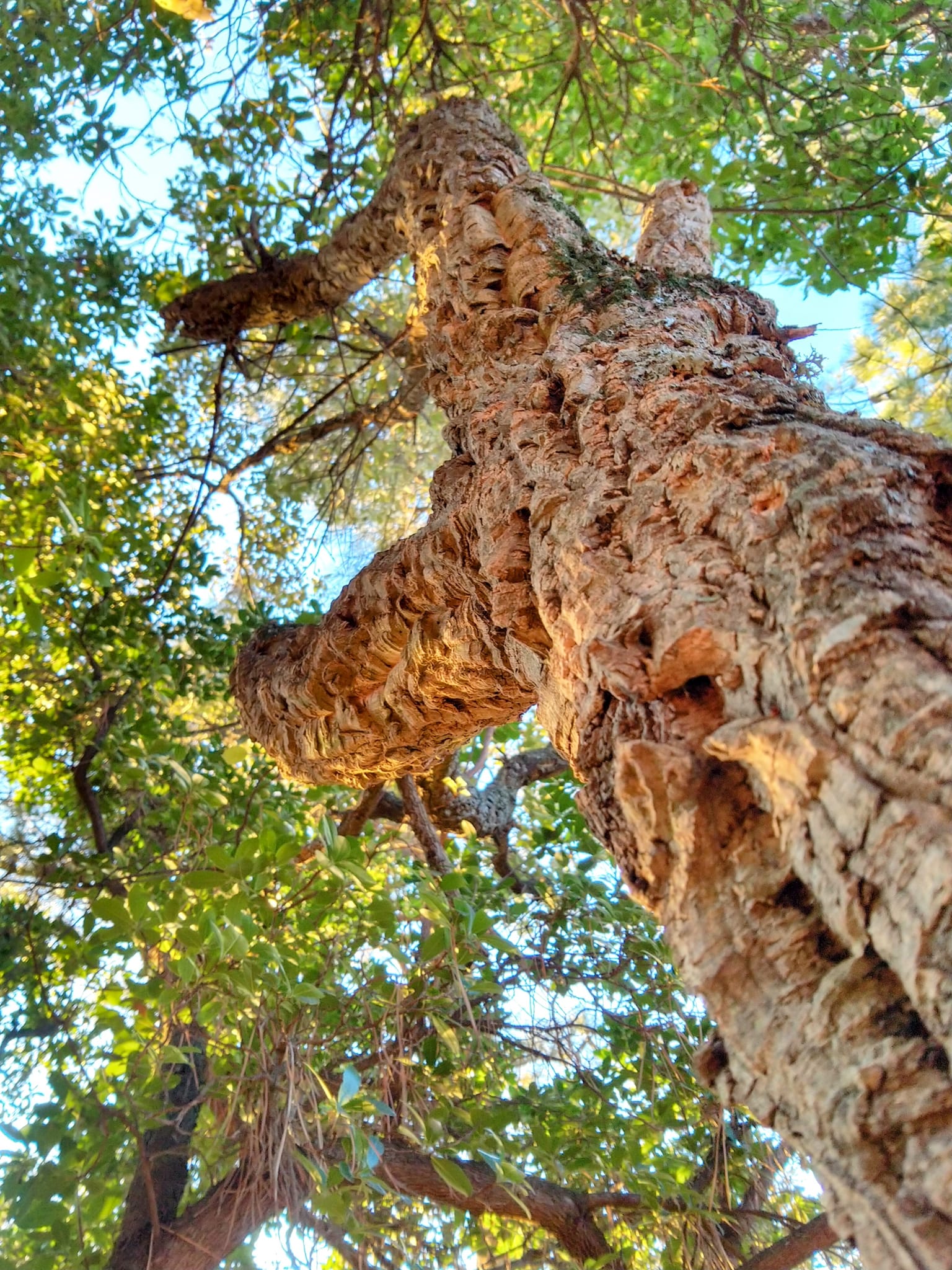 photo 03.jpeg (640 KB)