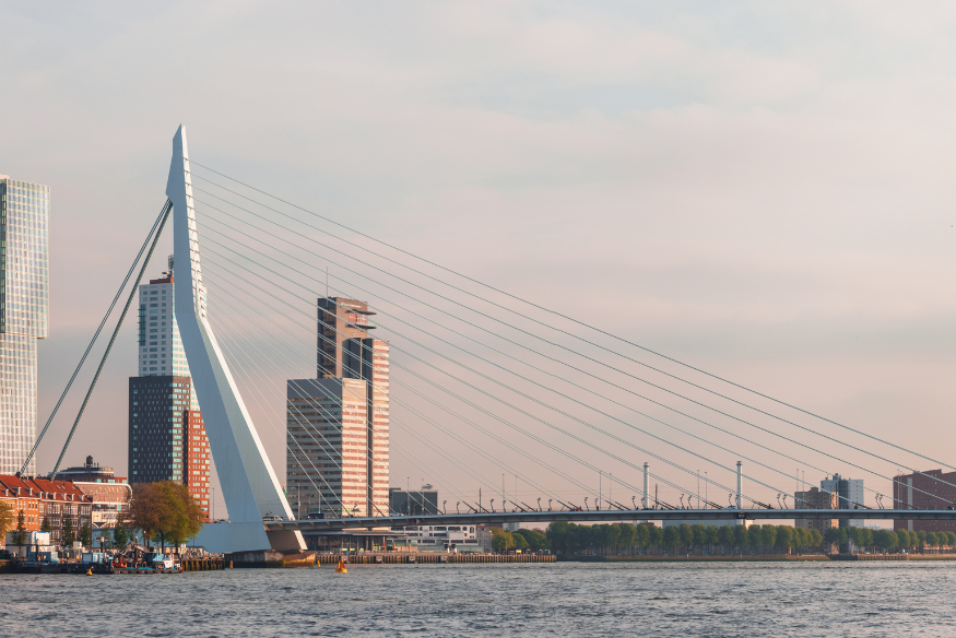 publication site  (875 x 584 px) - 2025-04-19T151144.077.png (715 KB)