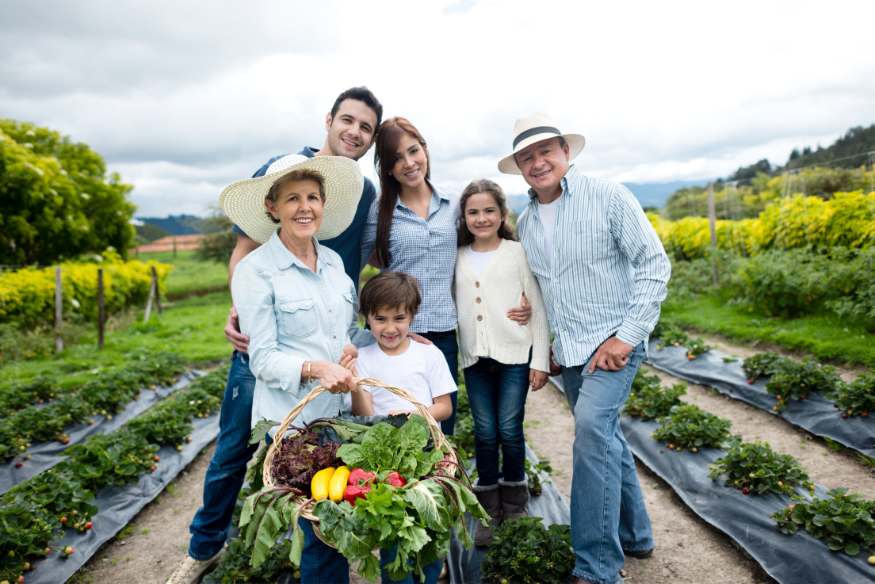 publication site  (875 x 584 px) - 2025-05-02T181321.125.png (876 KB)