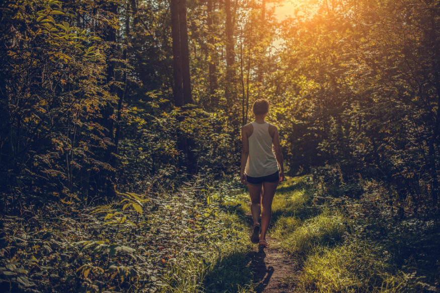 publication site  (875 x 584 px) - 2026-04-26T193739.706.png (991 KB)