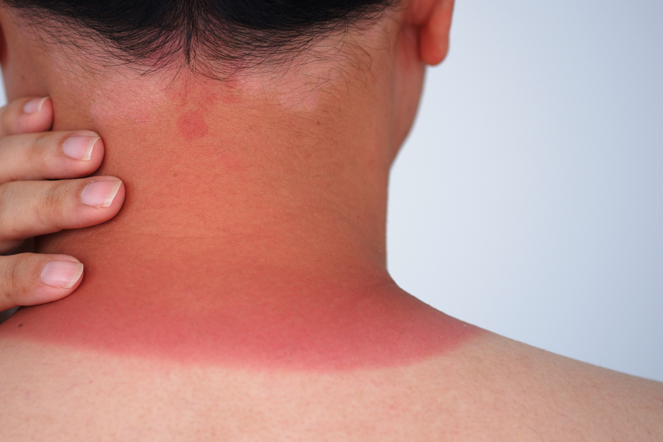 publication site (875 x 584 px).png(1).PNG (4.73 MB)