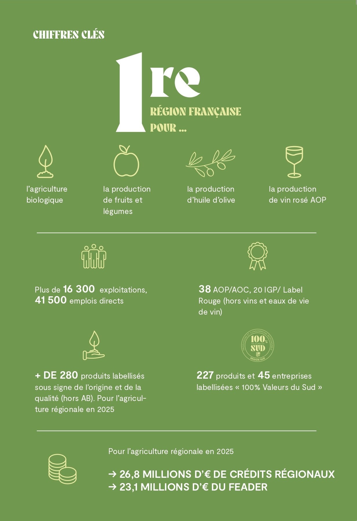 région sud.jpg (178 KB)