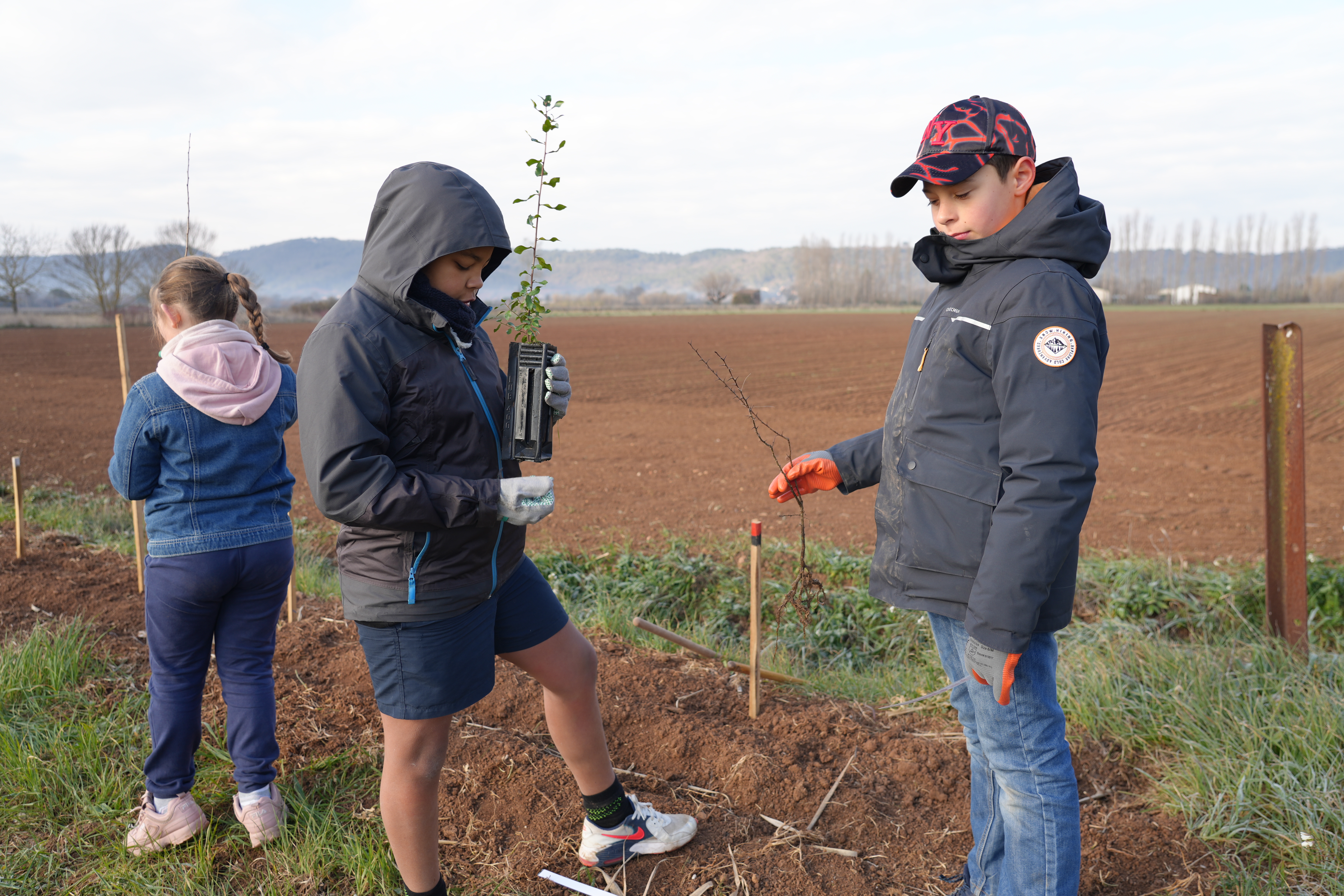vi 07_page 7_les enfants et les arbres_photo 01.JPG (8.38 MB)