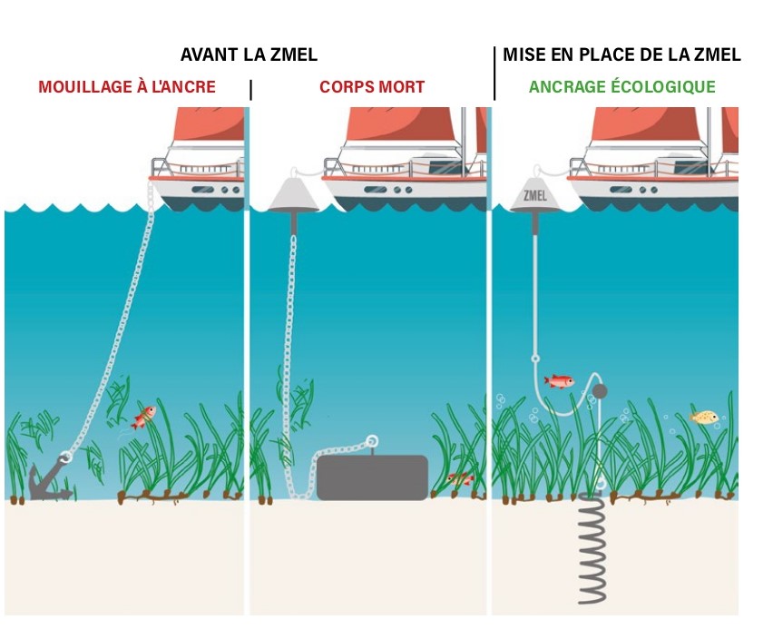 zmel_infographie_ville du lavandou.jpg (91 KB)